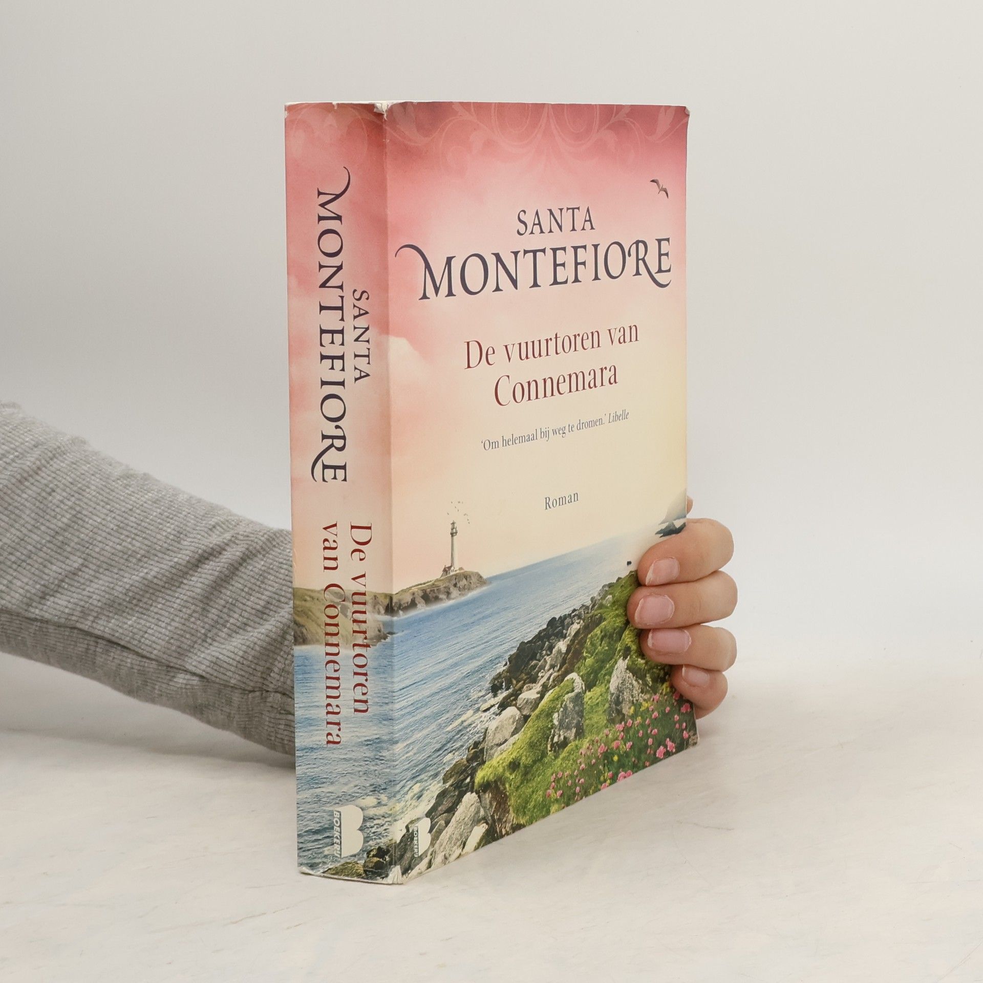 Erica Feberwee De vuurtoren van Connemara - Midprice