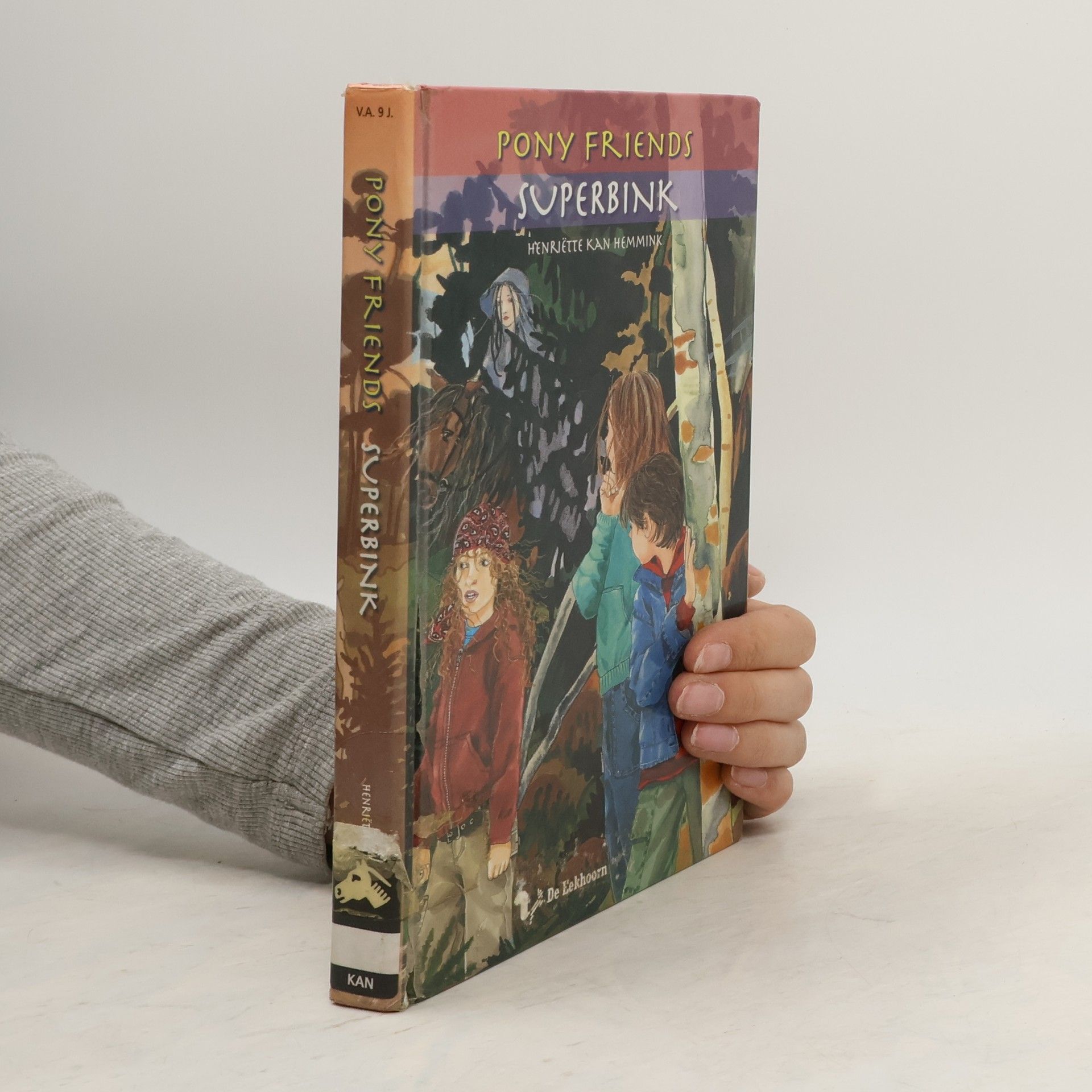 Henriette Kan Hemmink Pony Friends: Superbink