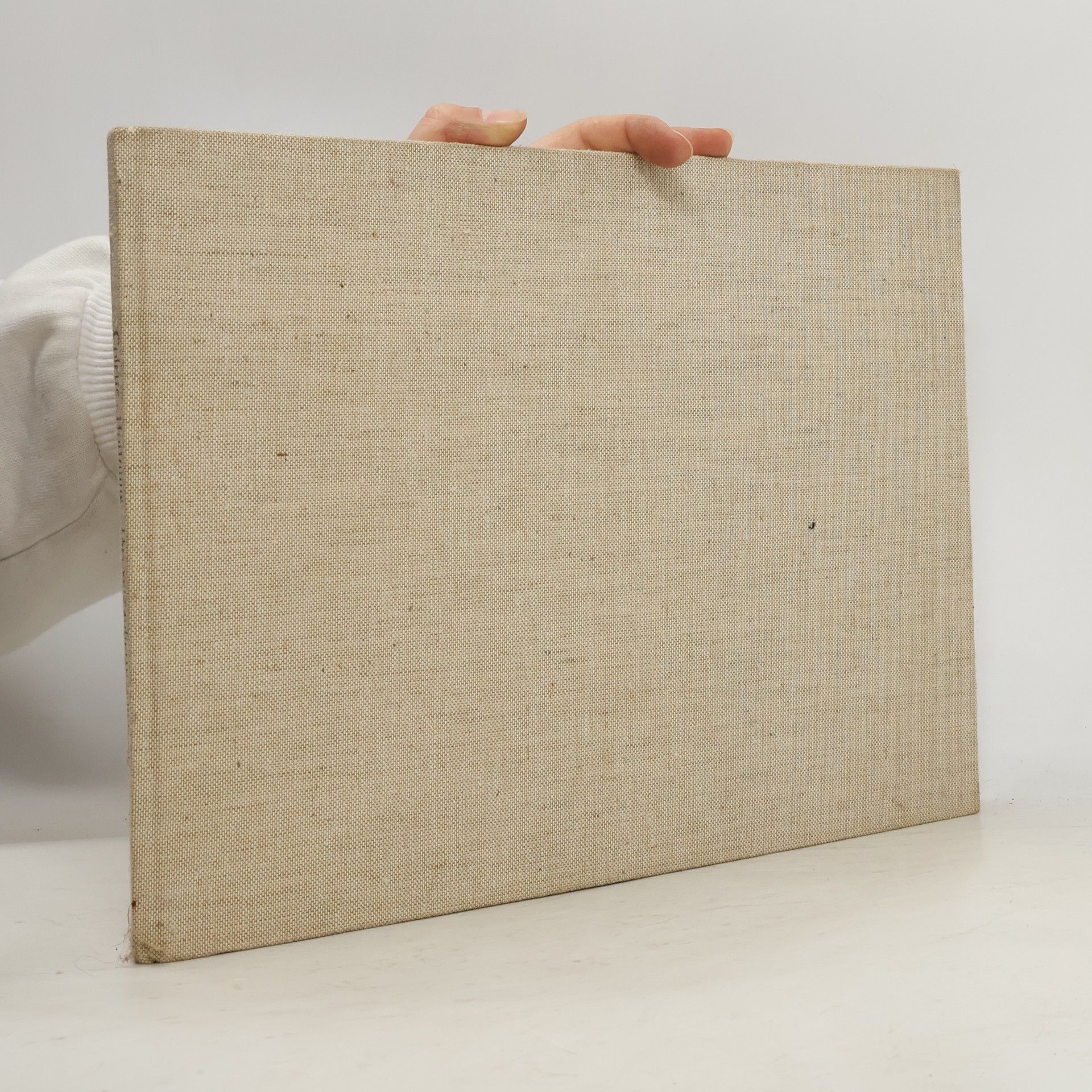 Colette Das verzauberte Spielzeug