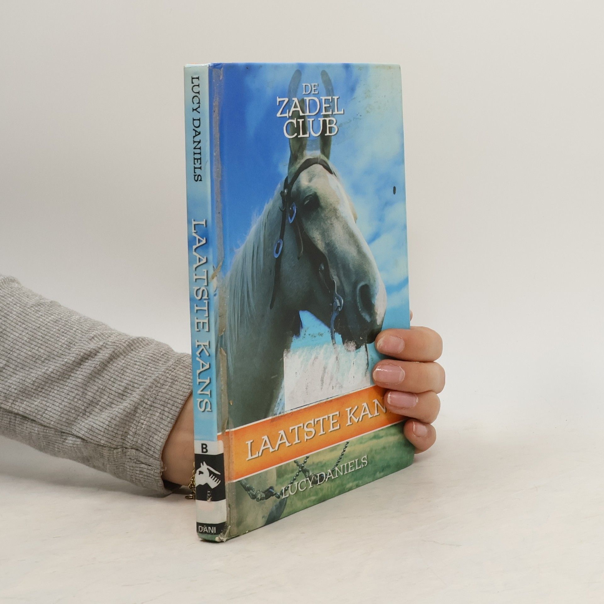 Lucy Daniels Laatste kans