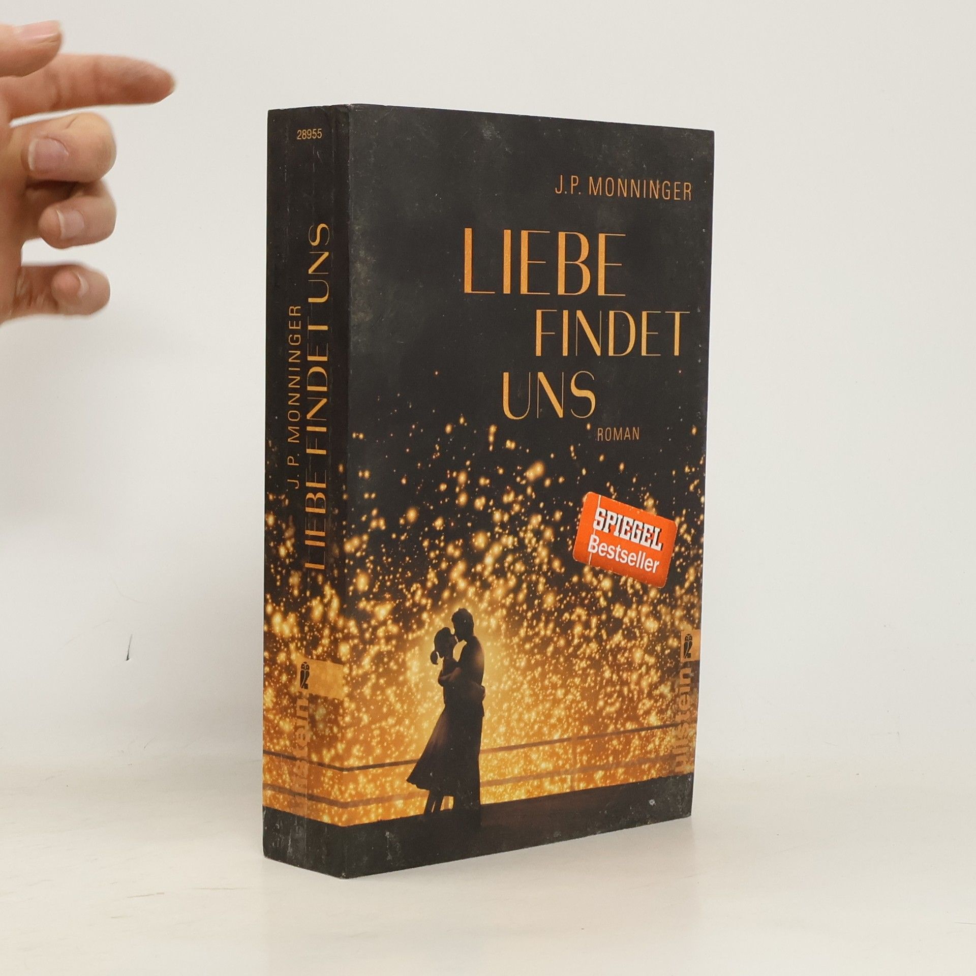 Joe Monninger Liebe findet uns