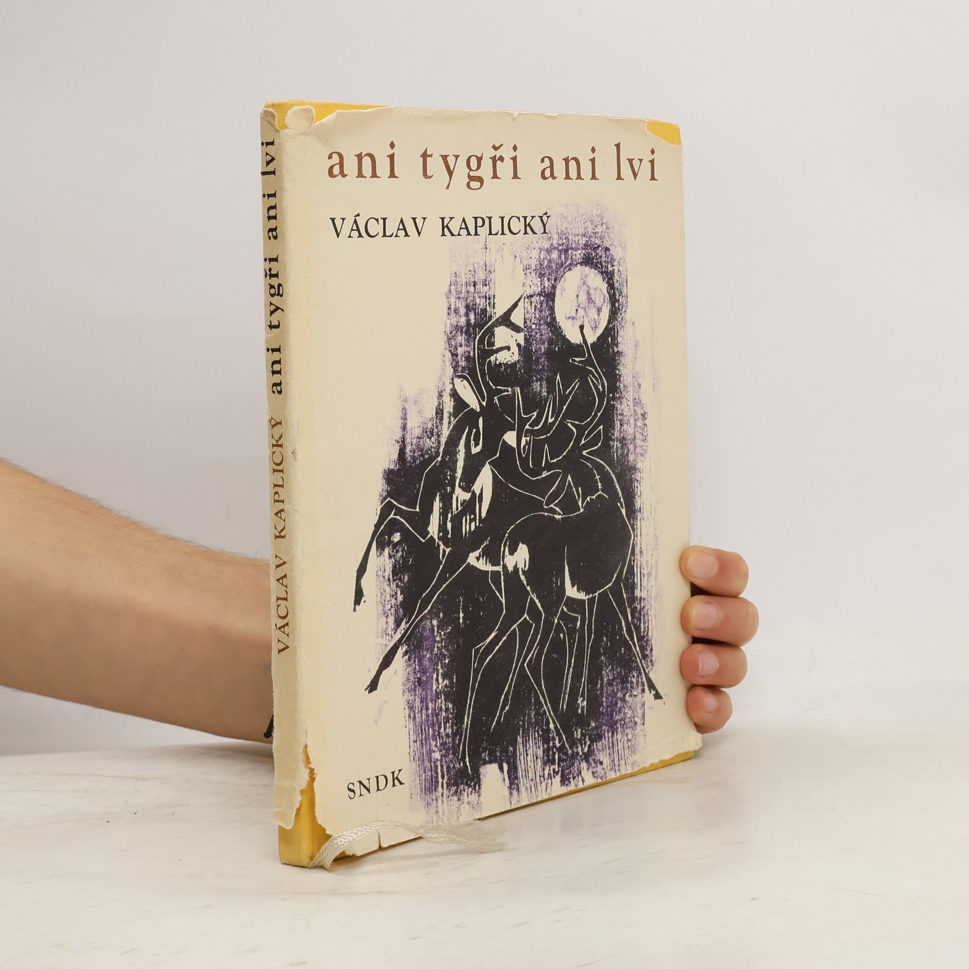 Václav Kaplický Ani tygři ani lvi