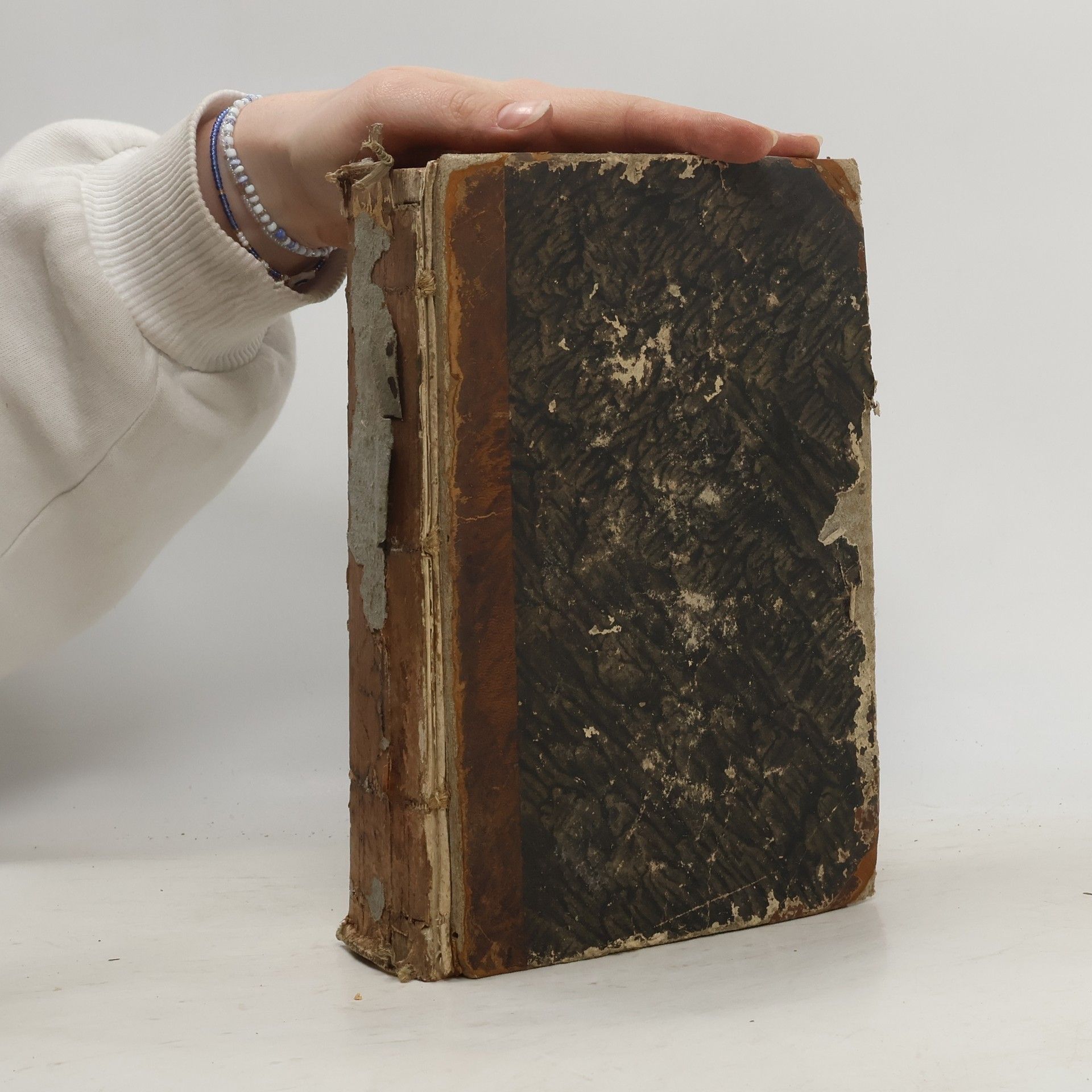 Hebräisches und Chaldäisches Handwörterbuch über das Alte Testament