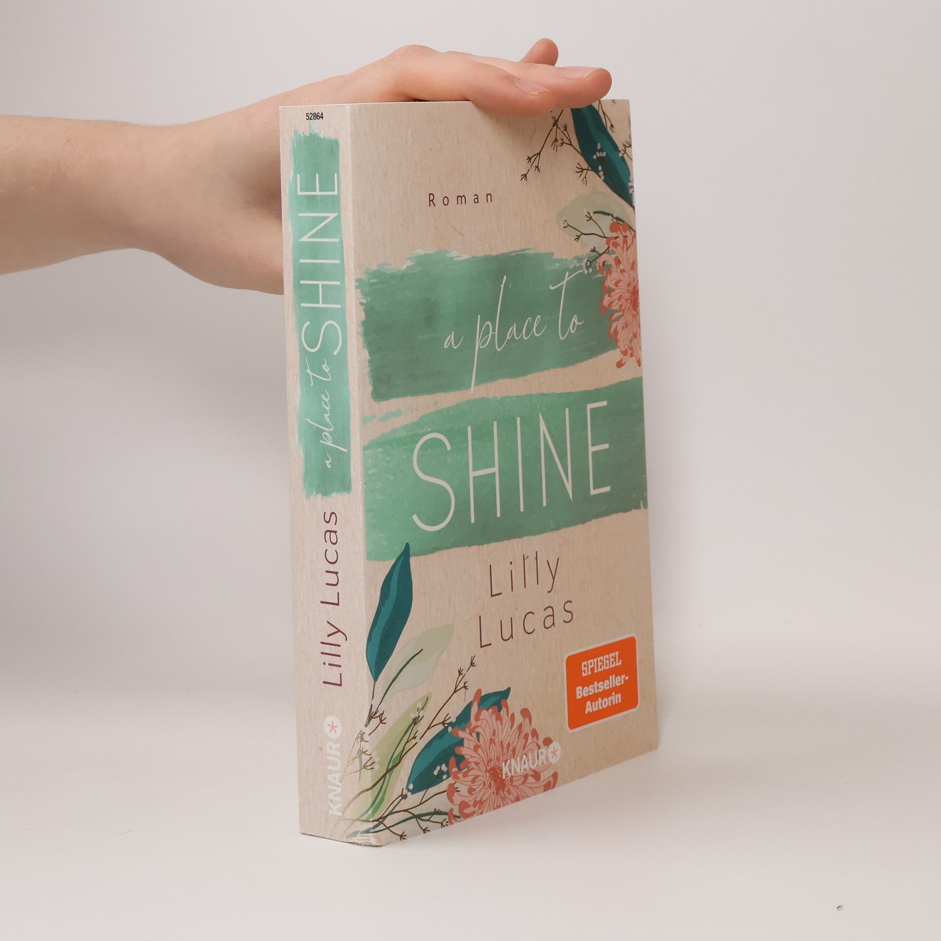 Lilly Lucas A Place to Shine