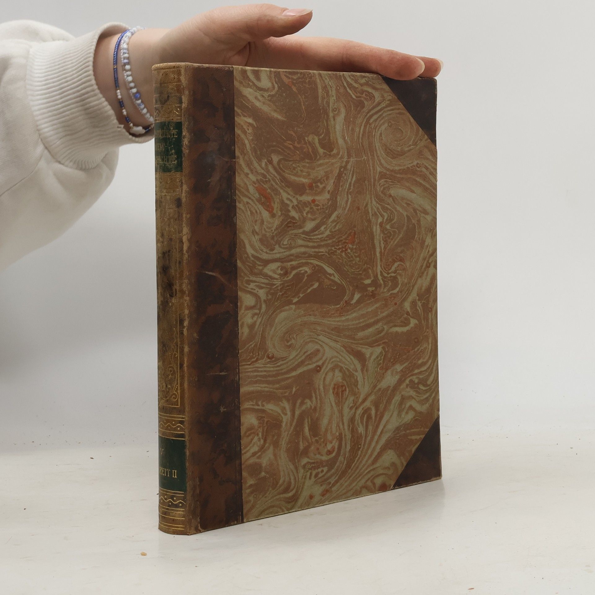 Kolektiv autorů Illustrierte Weltgeschichte V