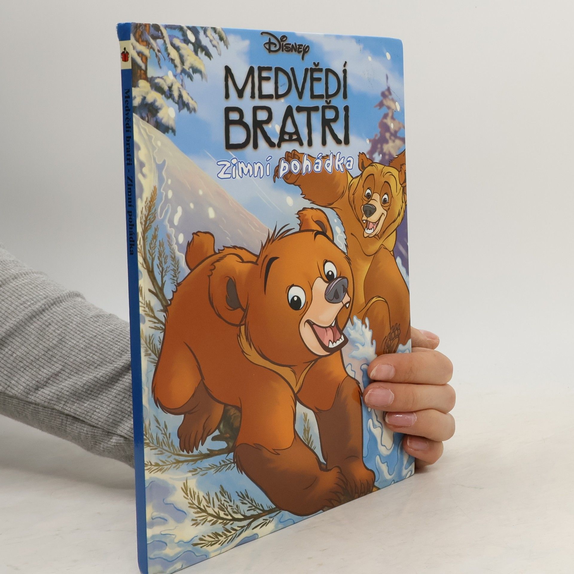 Medvědí bratři. Zimní pohádka