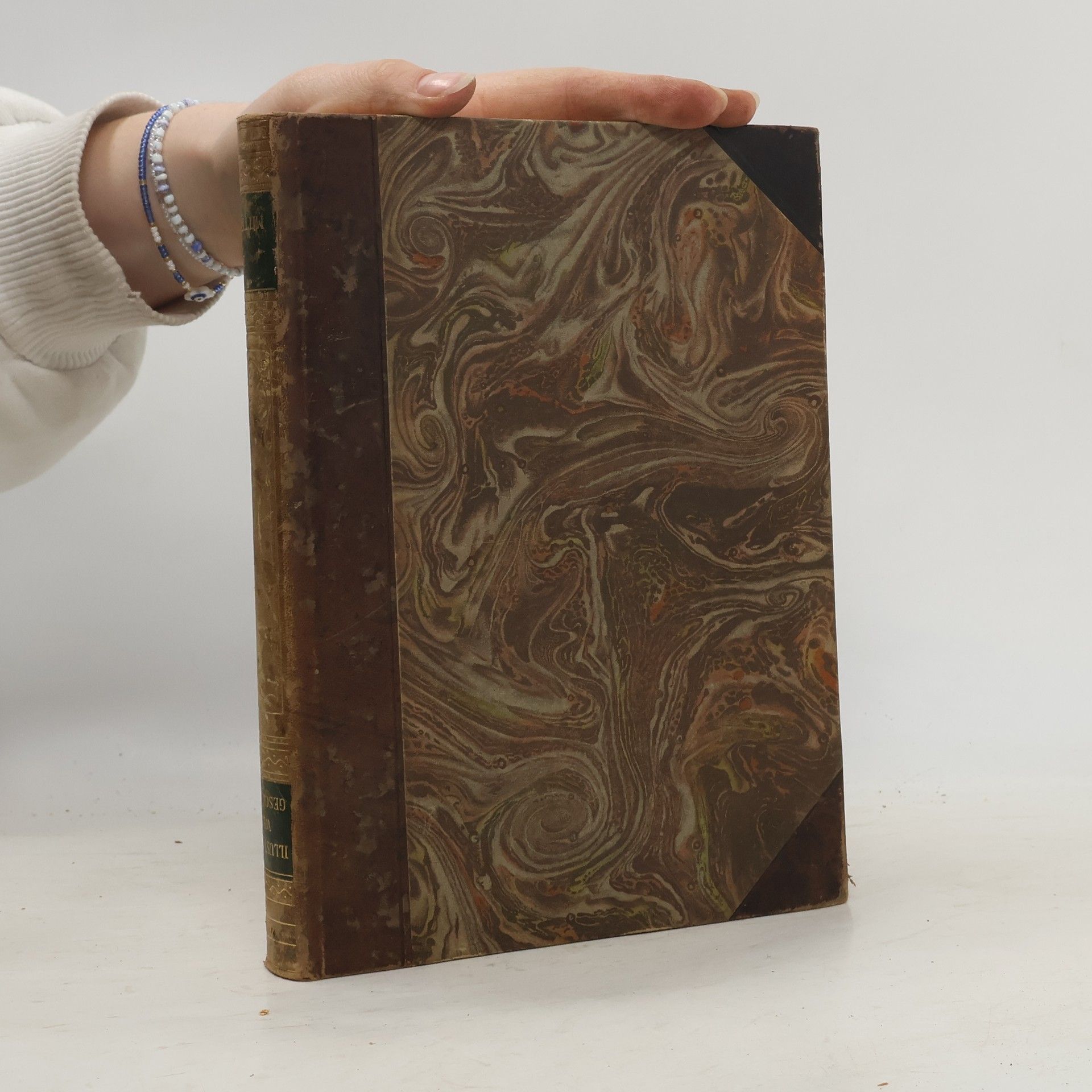 Kolektiv autorů Illustrierte Weltgeschichte