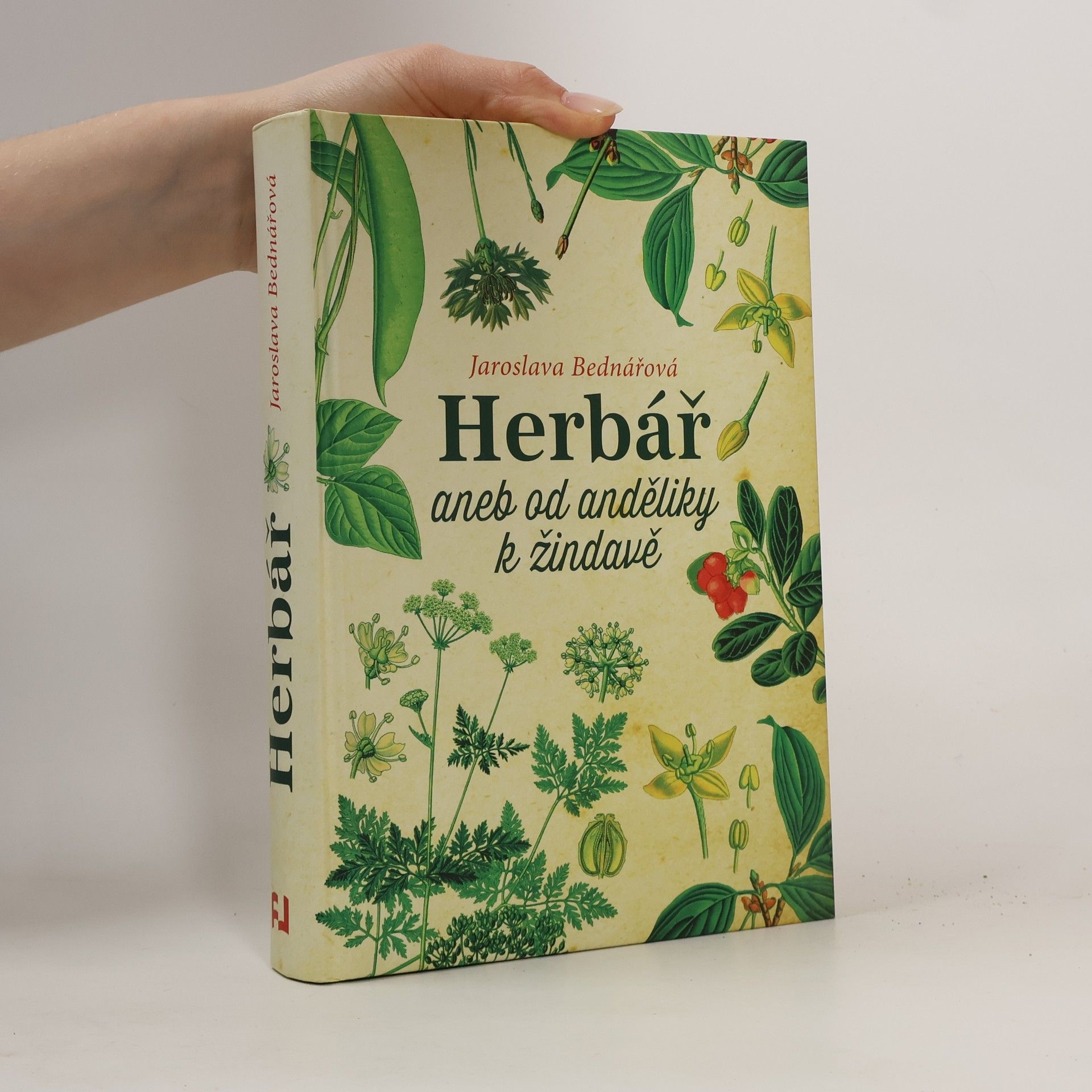 Jaroslava Bednářová Herbář, aneb, Od anděliky k žindavě
