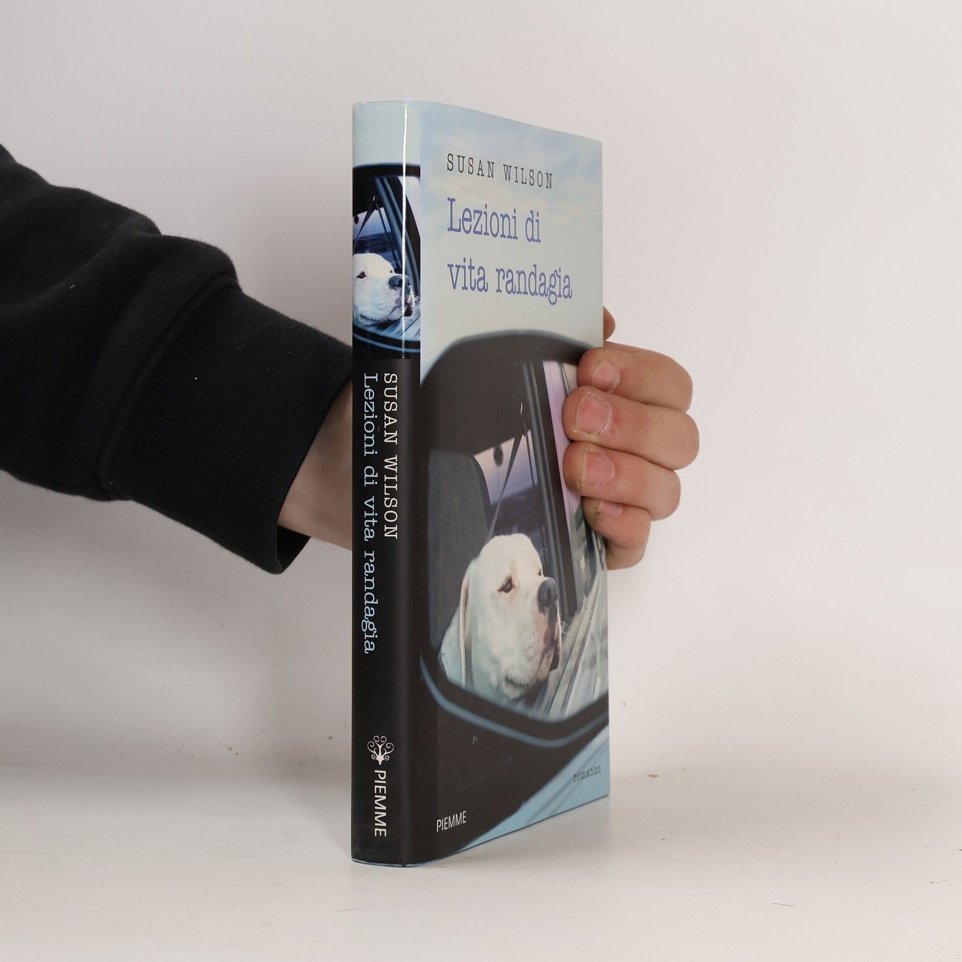 Susan Wilson Lezioni di vita randagia