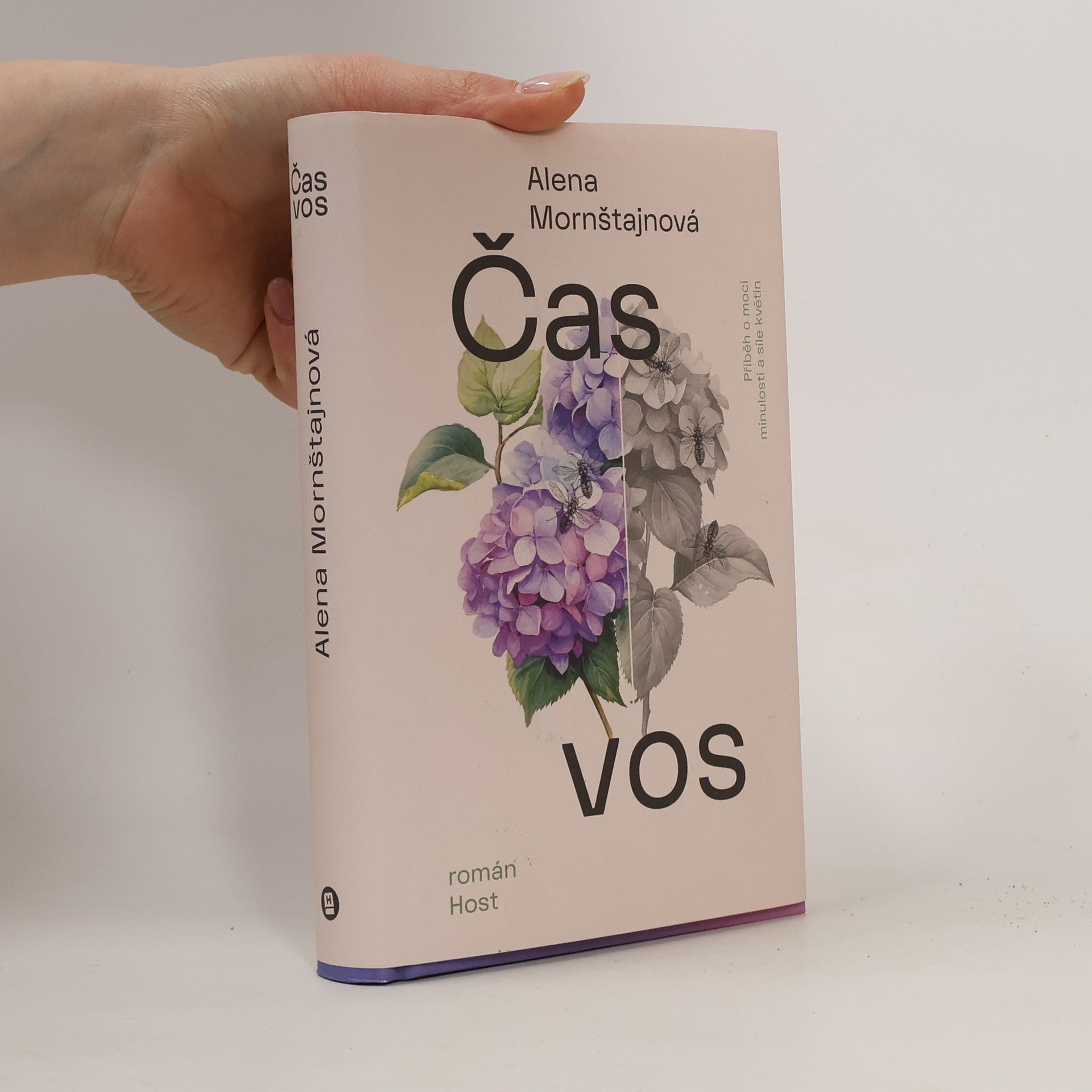 Alena Mornštajnová Čas vos