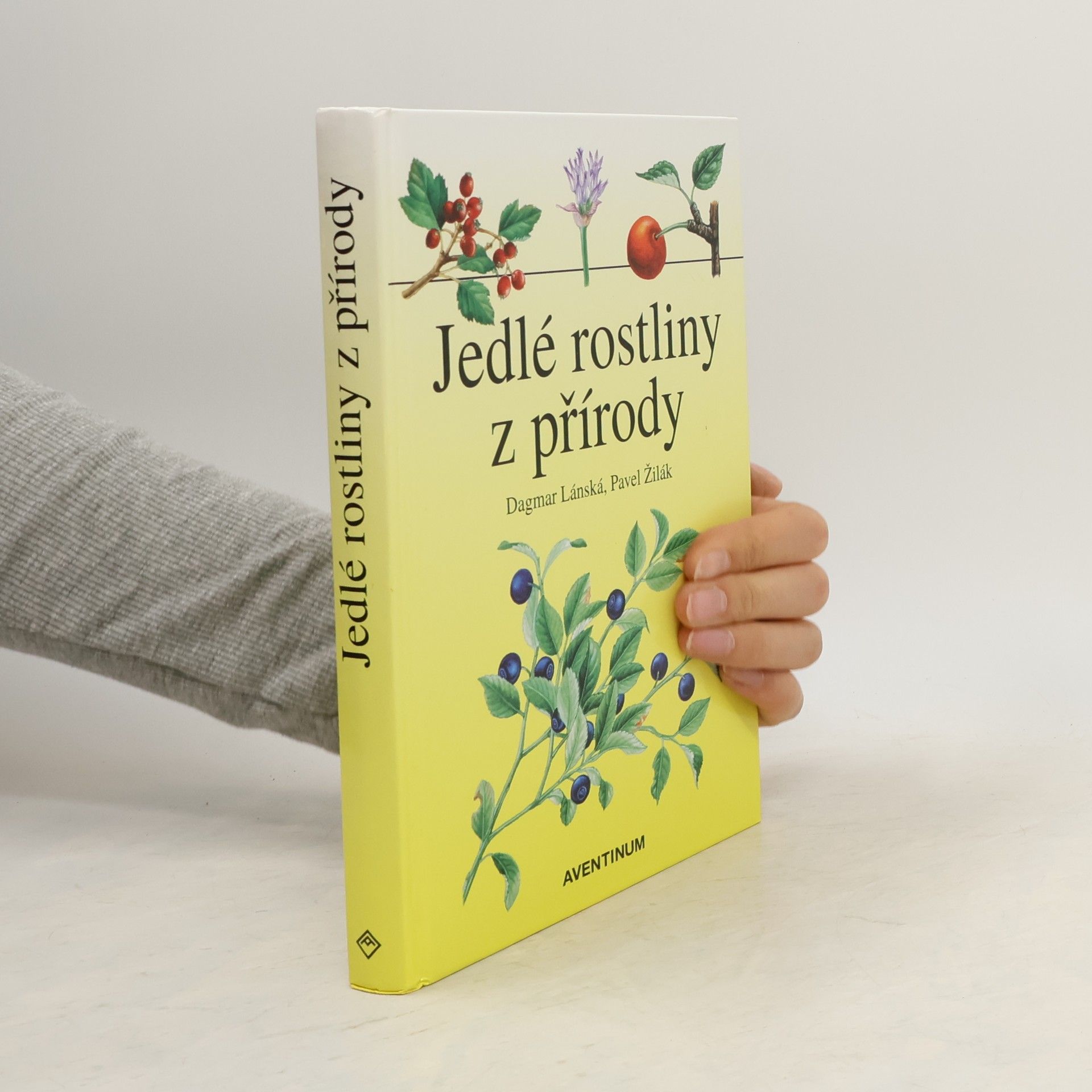 Dagmar Lánská Jedlé rostliny z přírody