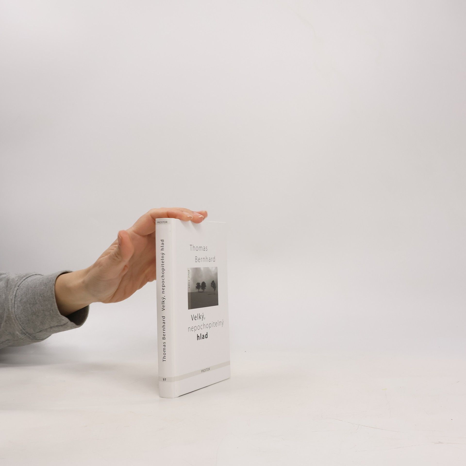 Thomas Bernhard Velký, nepochopitelný hlad