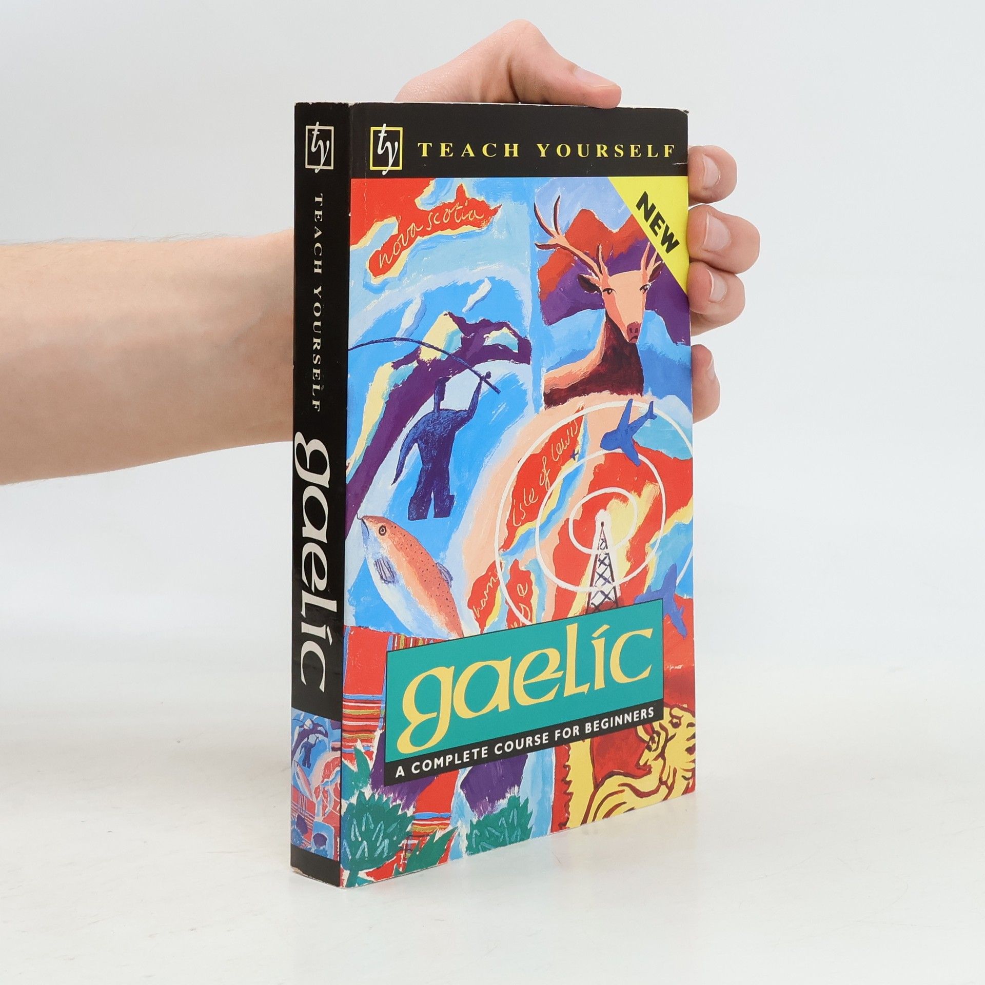 Teach Yourself: Gaelic