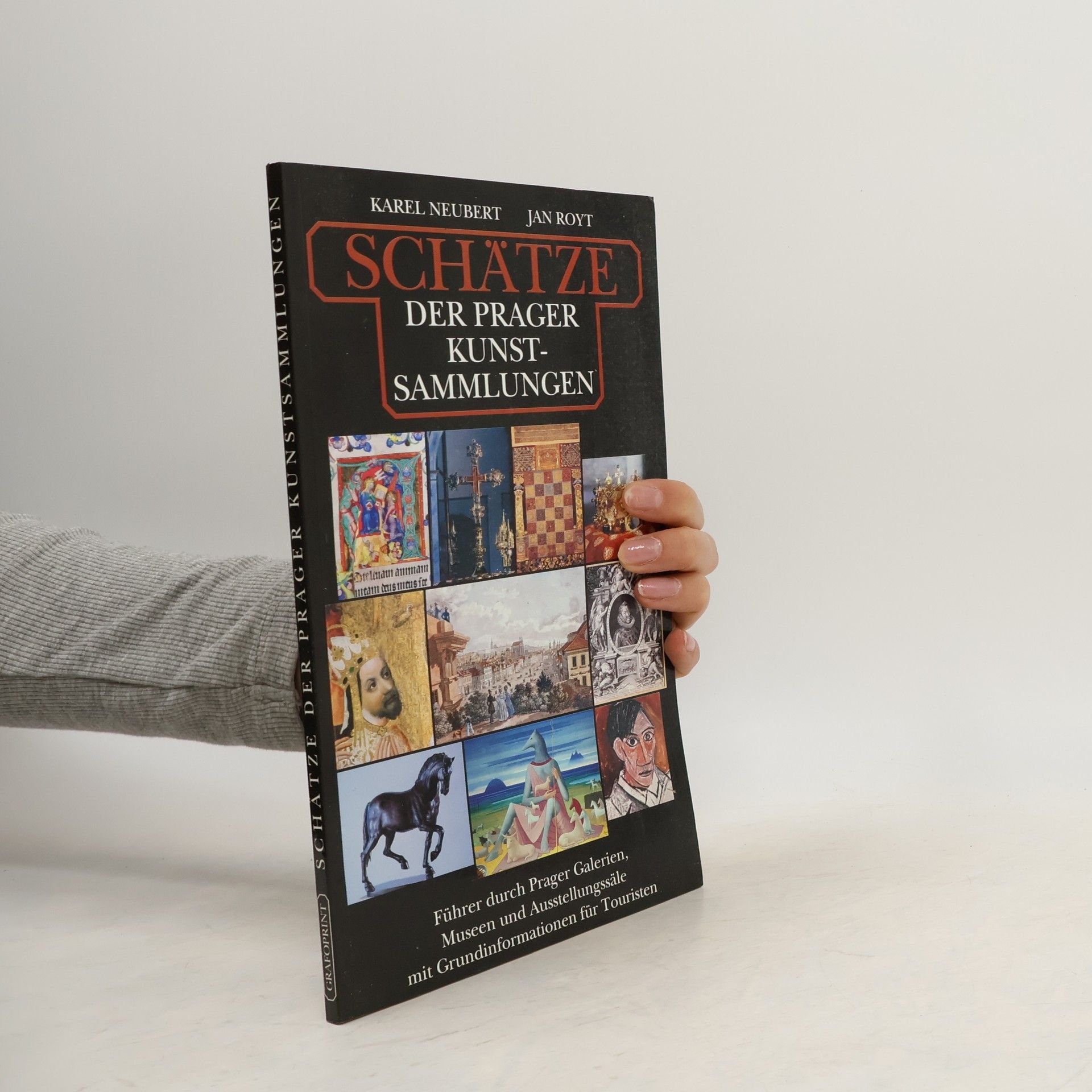 Karel Neubert Schätze der Prager Kunstsammlungen