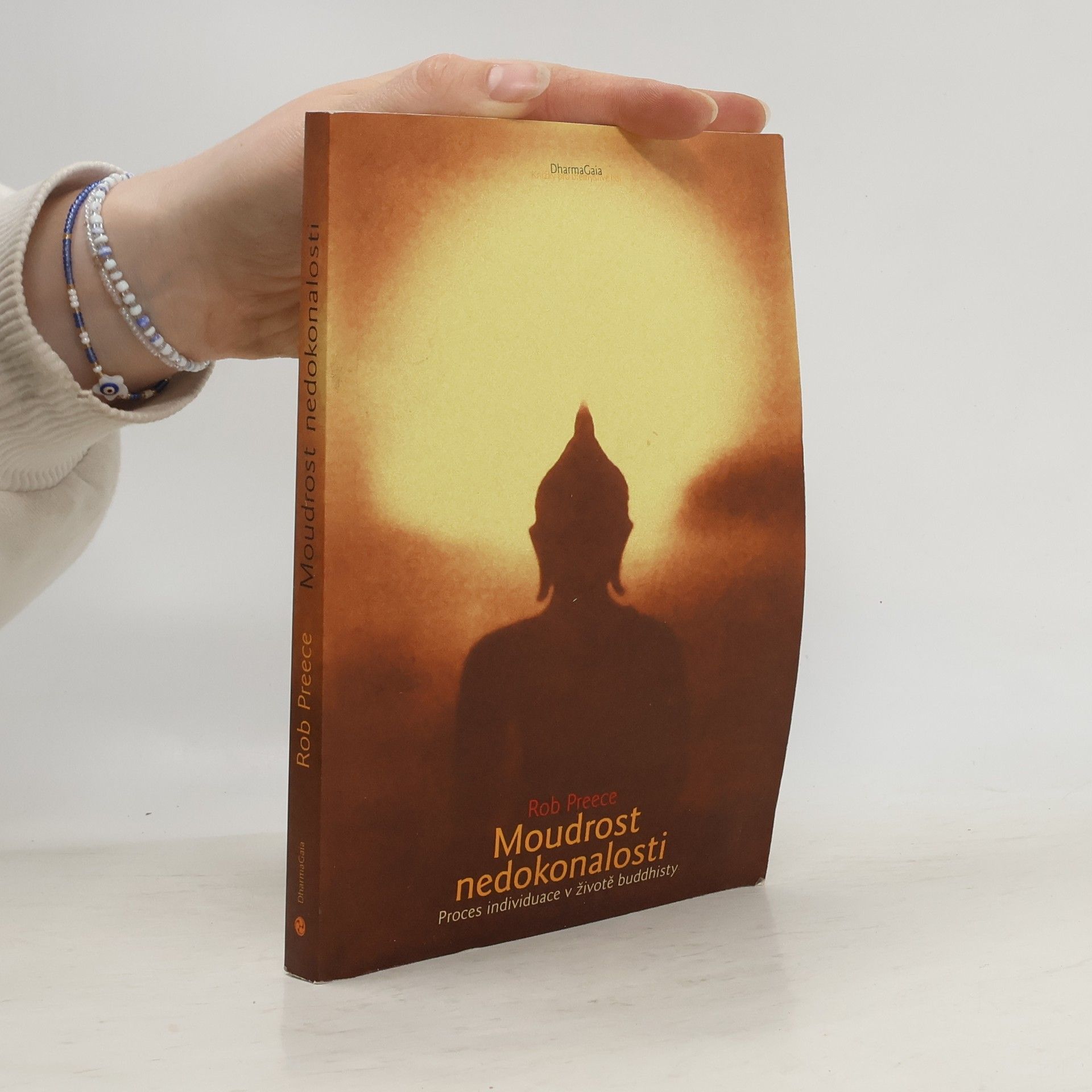 Rob Preece Moudrost nedokonalosti