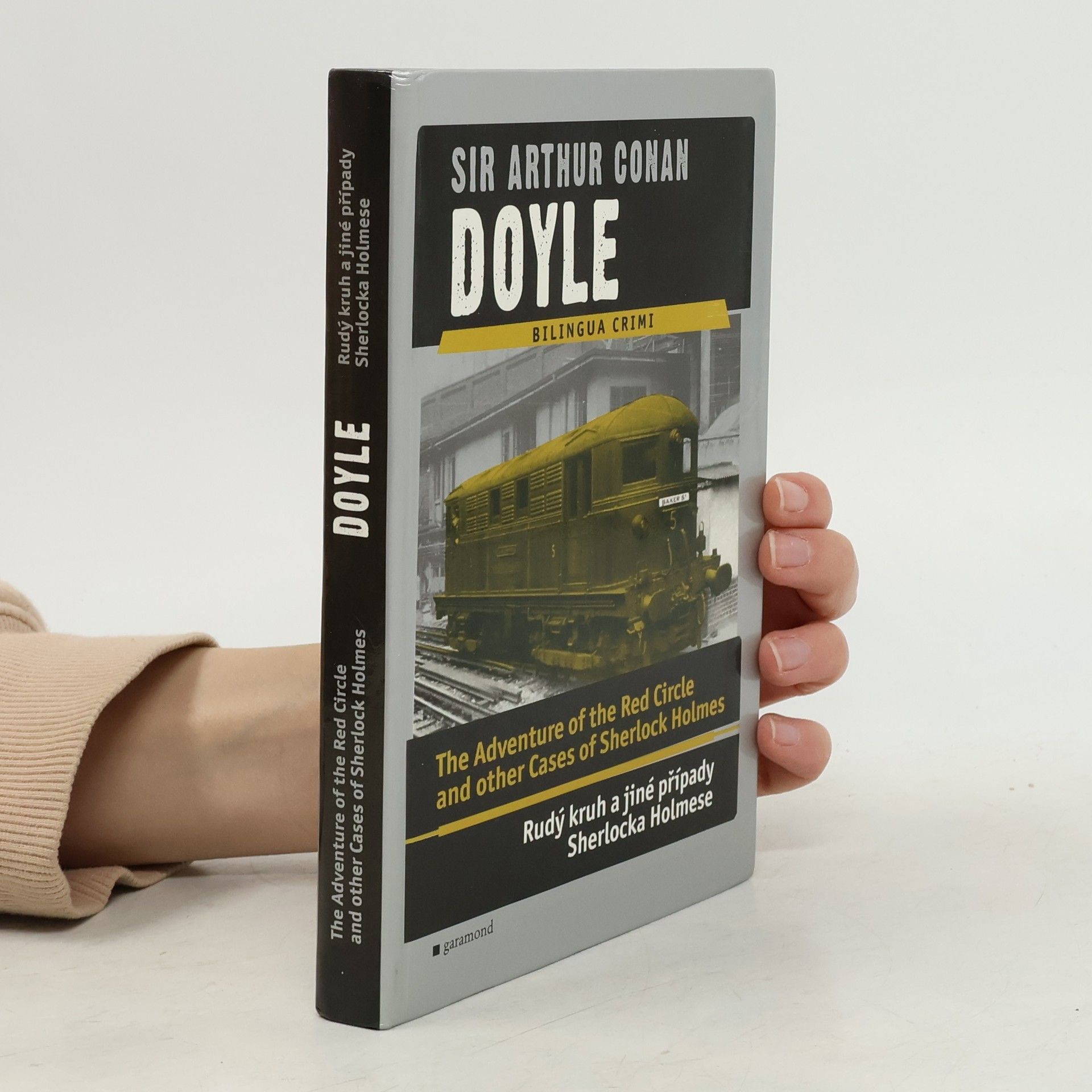 Rudý kruh a jiné případy Sherlocka Holmese
