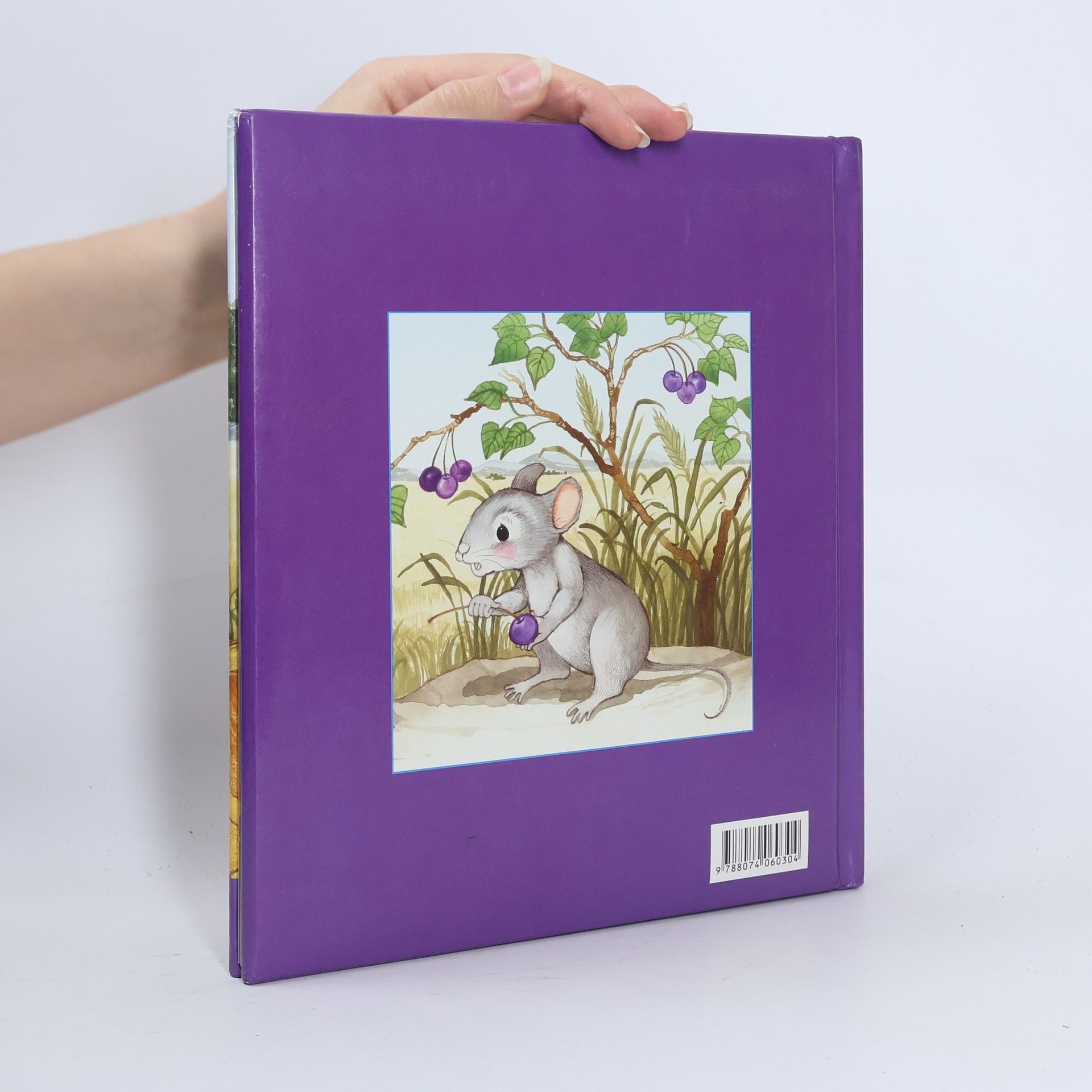 Collectif d'auteurs O lvu a myšce. Příběh o pomoci druhým