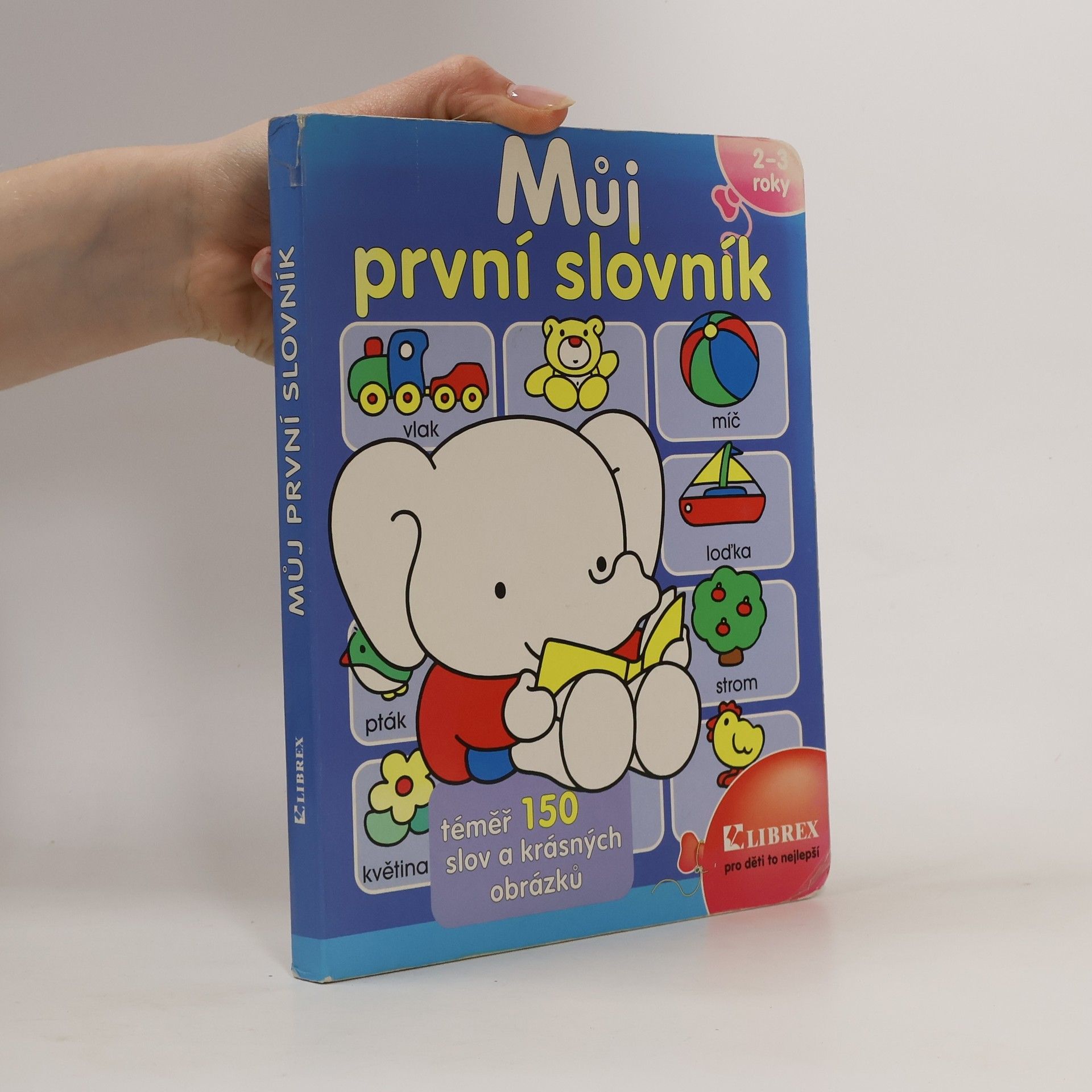 Kolektív autorov Můj první slovník : téměř 150 slov a krásných obrázků