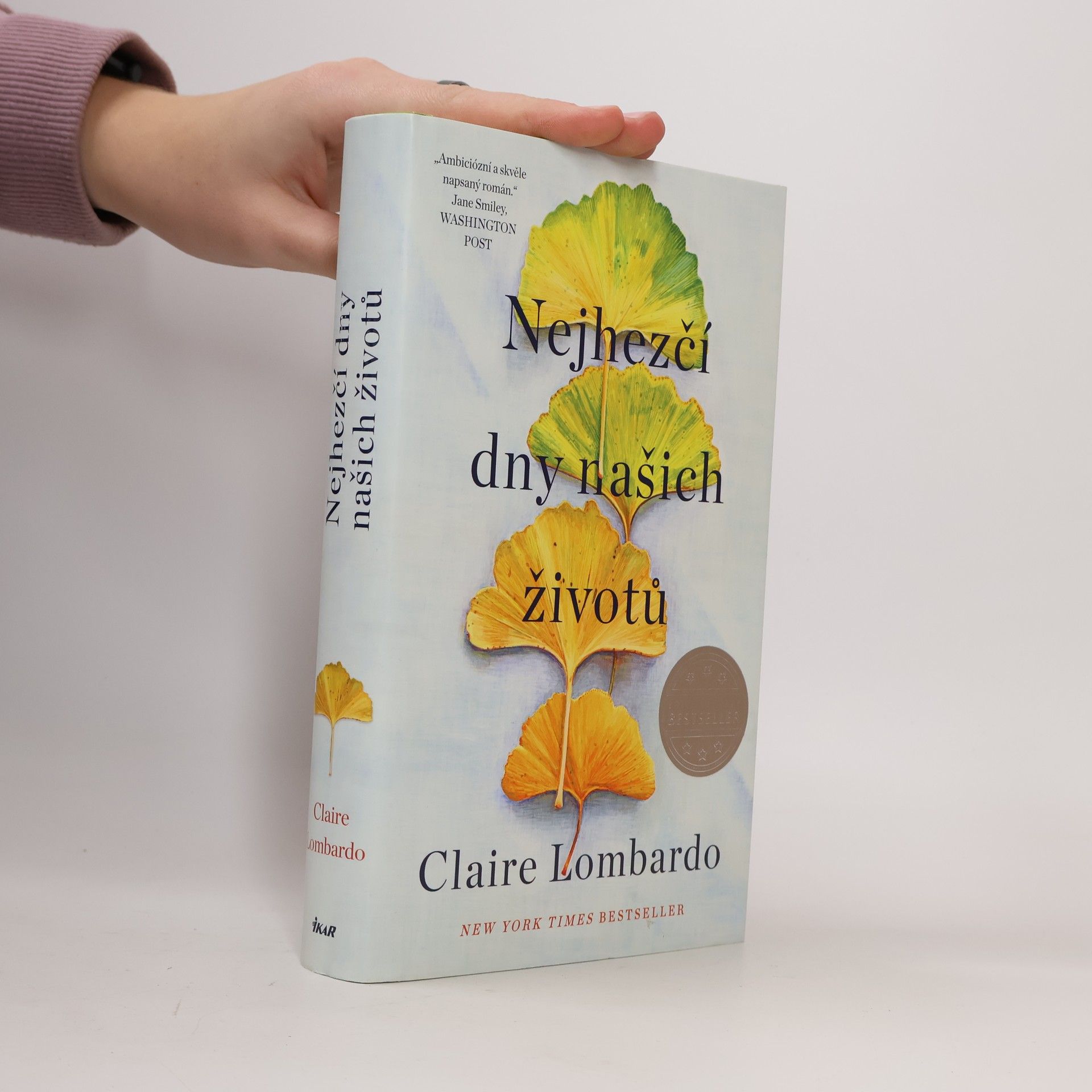 Claire Lombardo Nejhezčí dny našich životů