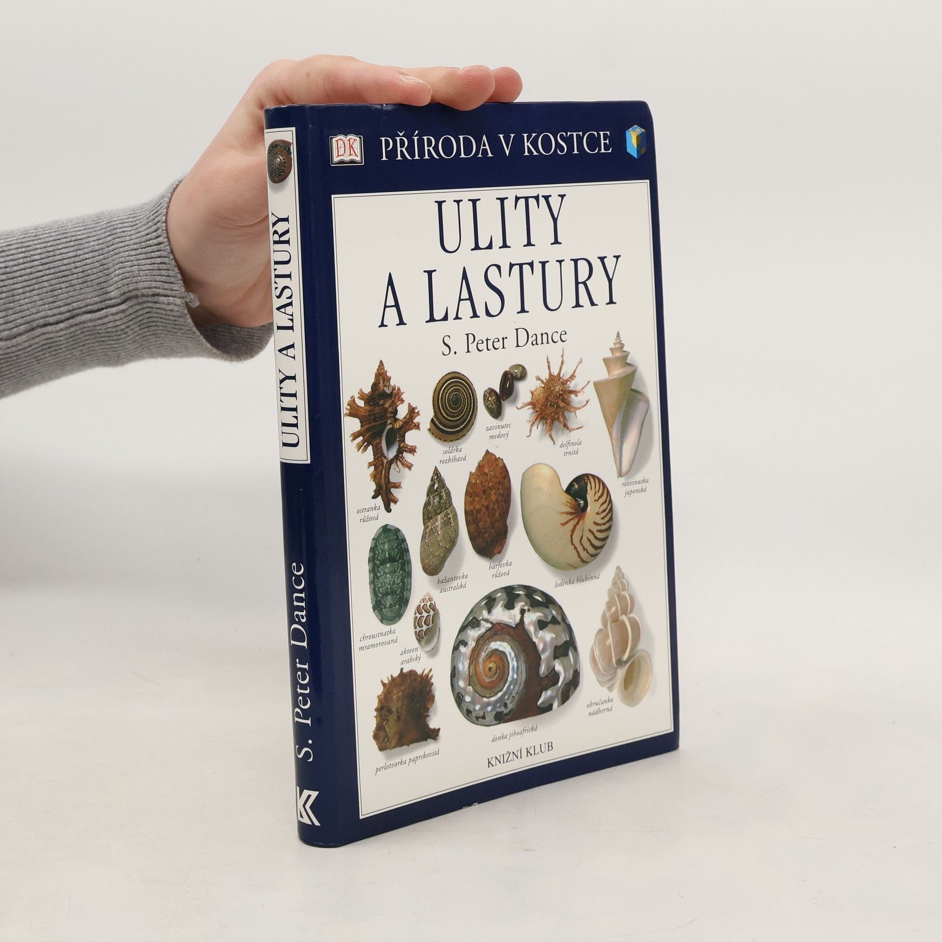 S. Peter Dance Ulity a lastury