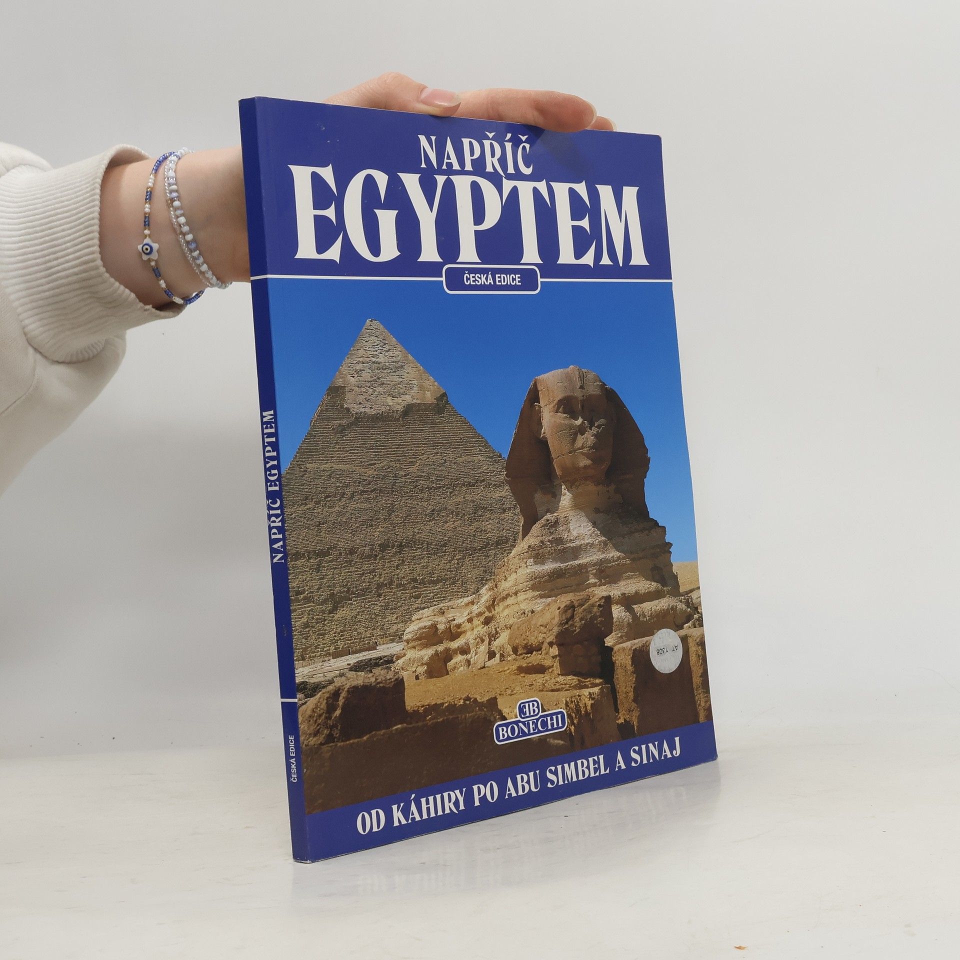 Abbas Chalaby Napříč Egyptem. Od Káhiry po Abu Simbel a Sinaj