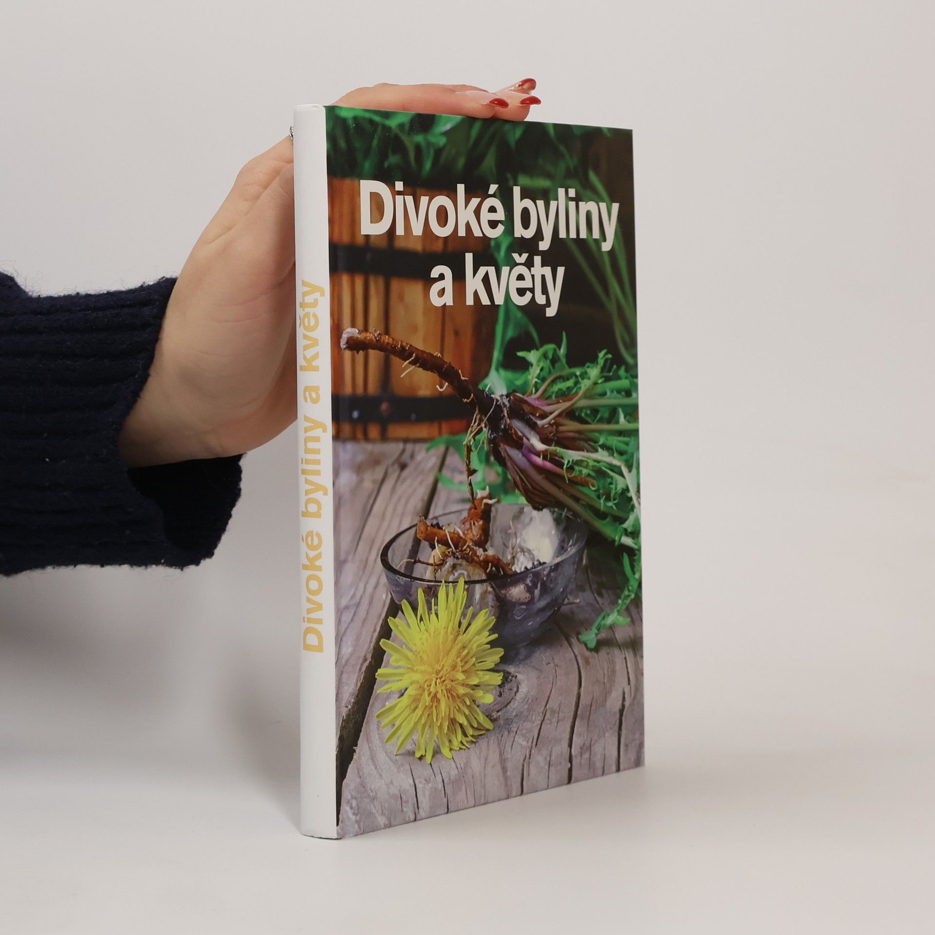Andrea Malá Divoké byliny a květy