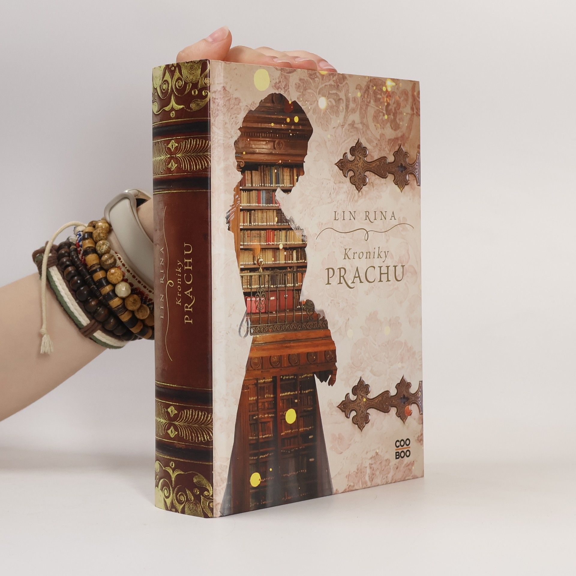 Lin Rina Kroniky prachu