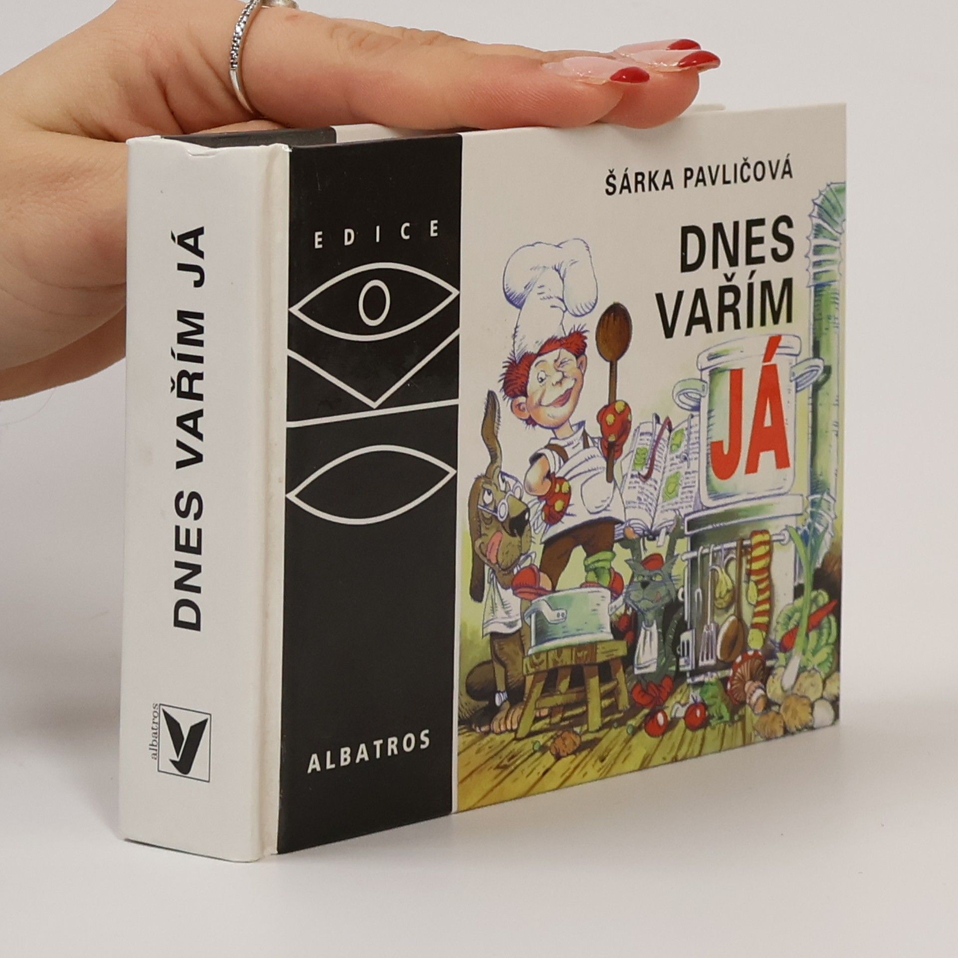 Pavličová Šárka Dnes vařím já