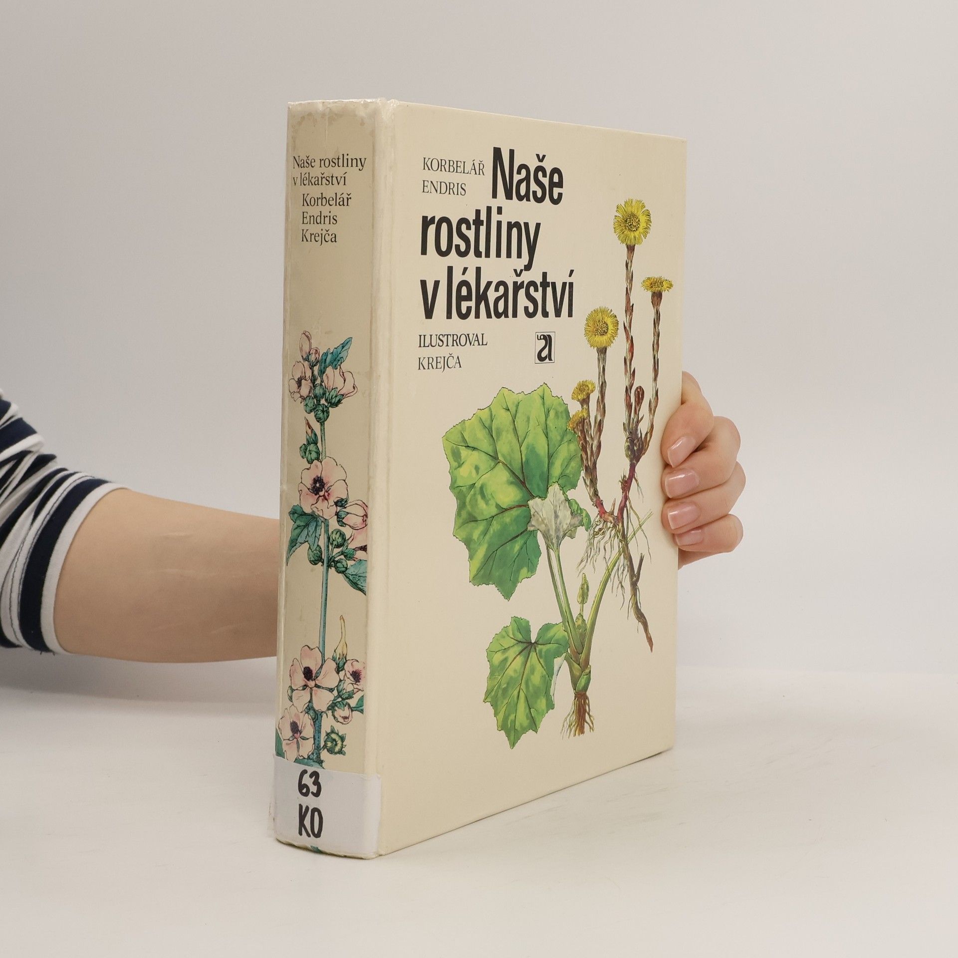Jaroslav Korbelář Naše rostliny v lékařství