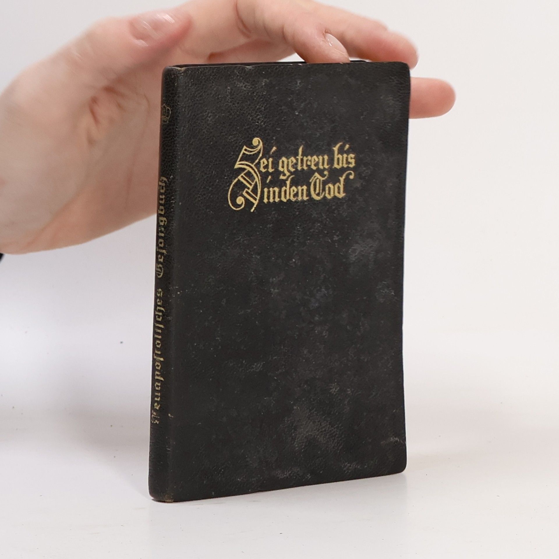 Kolektiv autorů Neuapostolisches Gesangbuch