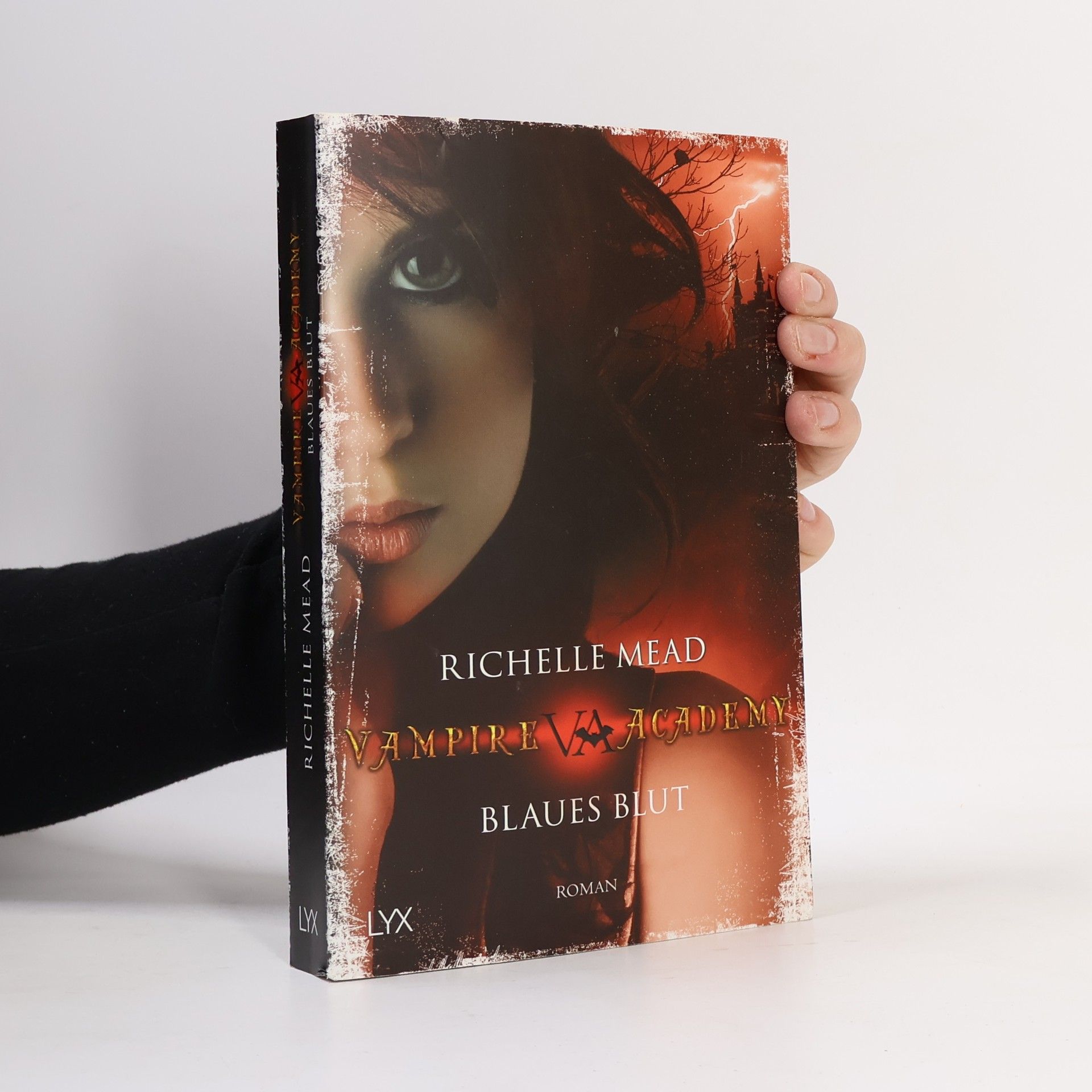 Richelle Mead Vampire Academy. Blaues Blut