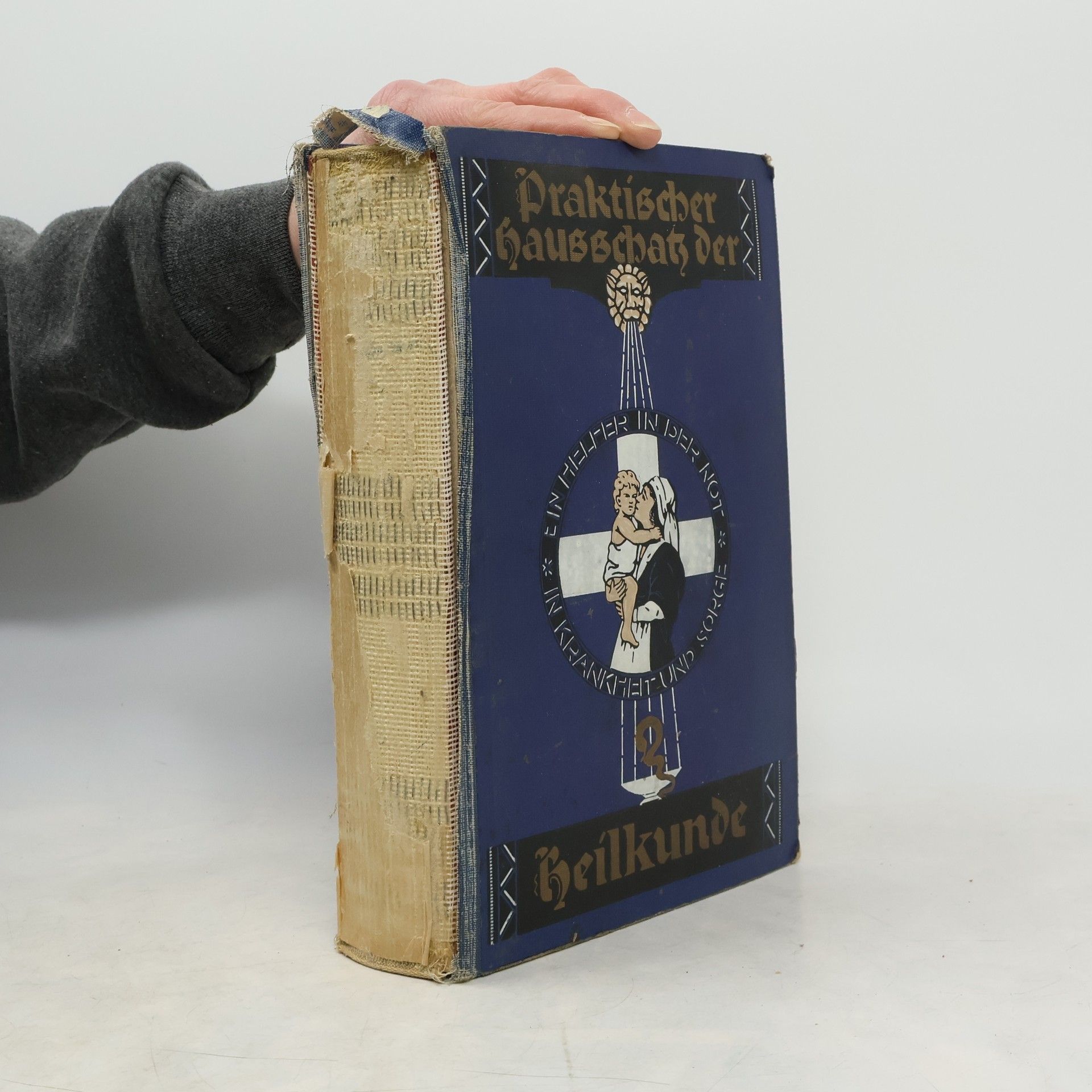 Autorenkollektiv Praktischer Hausschatz der Heilkunde