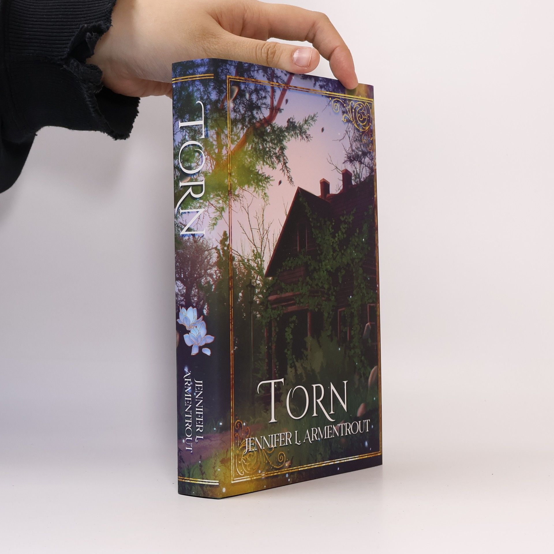 Jennifer Armentrout Torn
