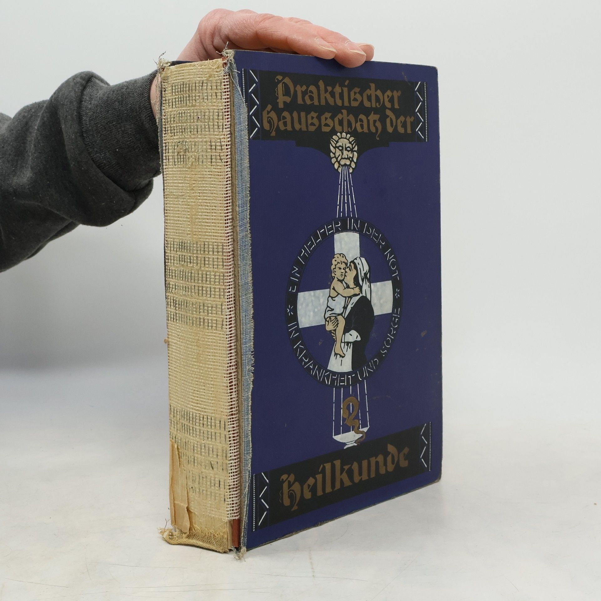 Autorenkollektiv Praktischer Hausschatz der Heilkunde