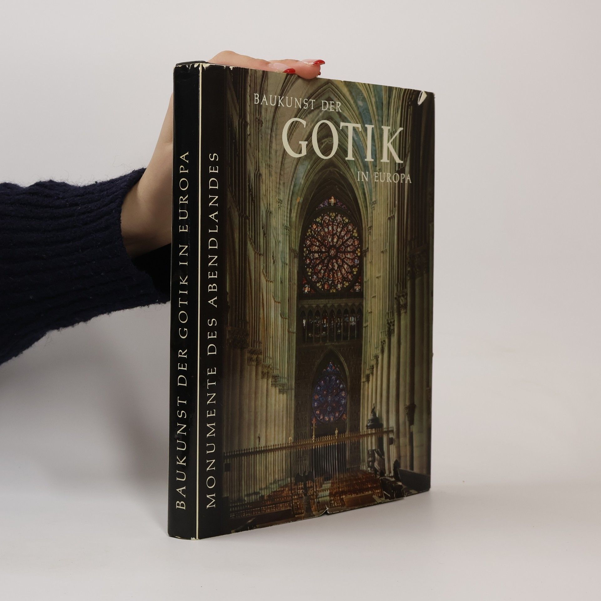 Autorenkollektiv Baukunst der Gotik in Europa