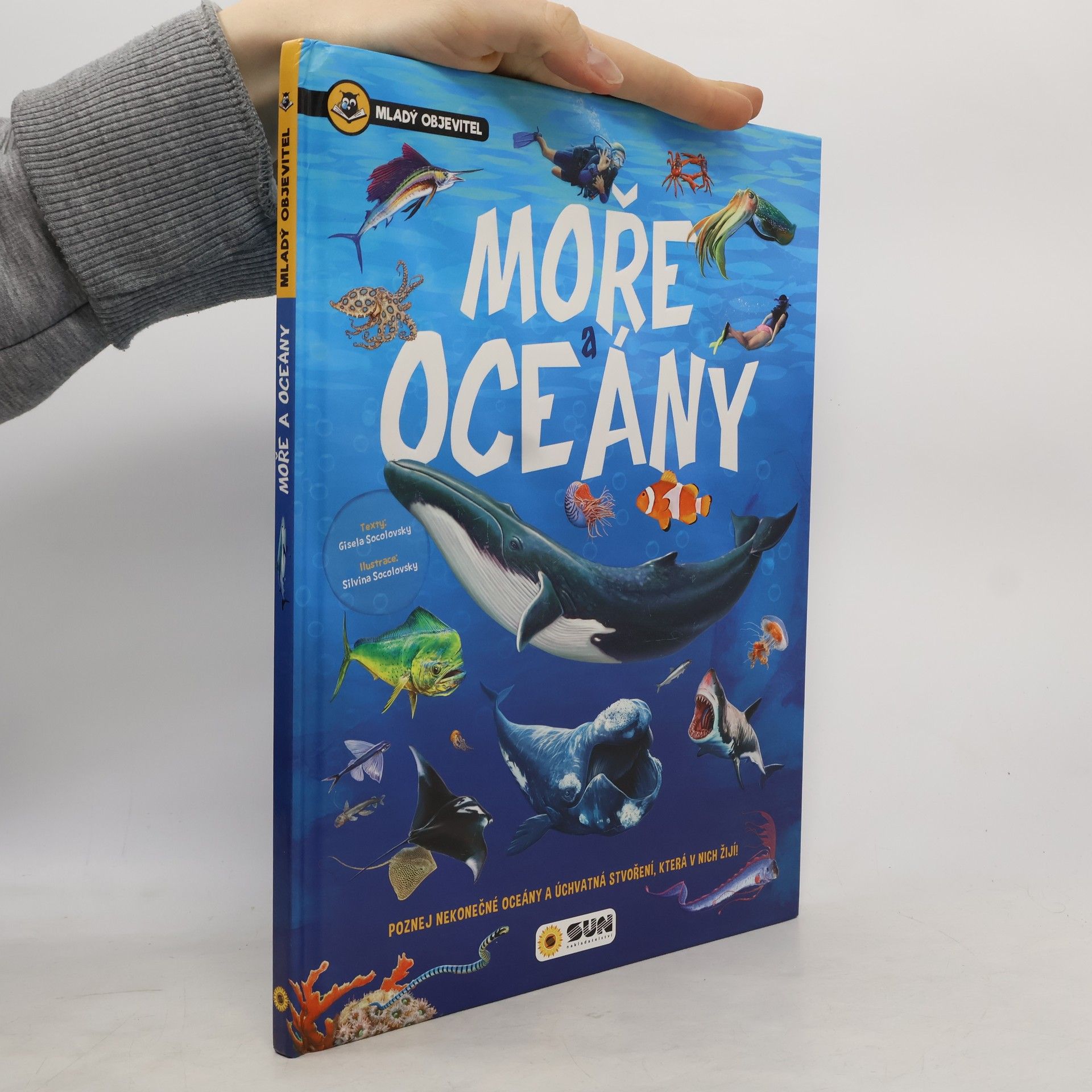 Kolektiv autorů Moře a oceány - mladý objevitel