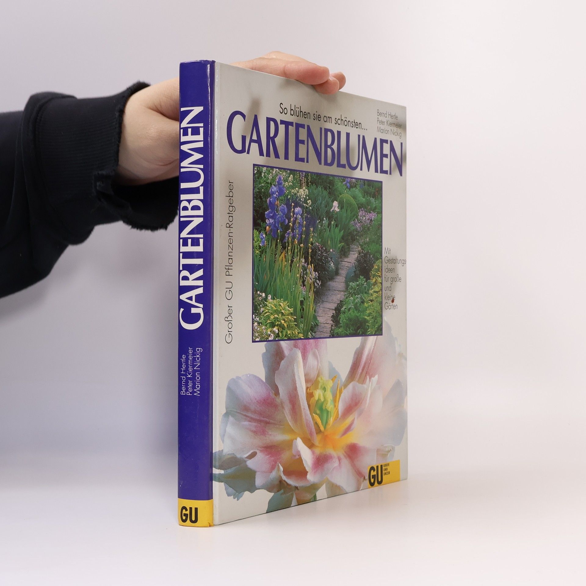 Bernd Hertle Gartenblumen