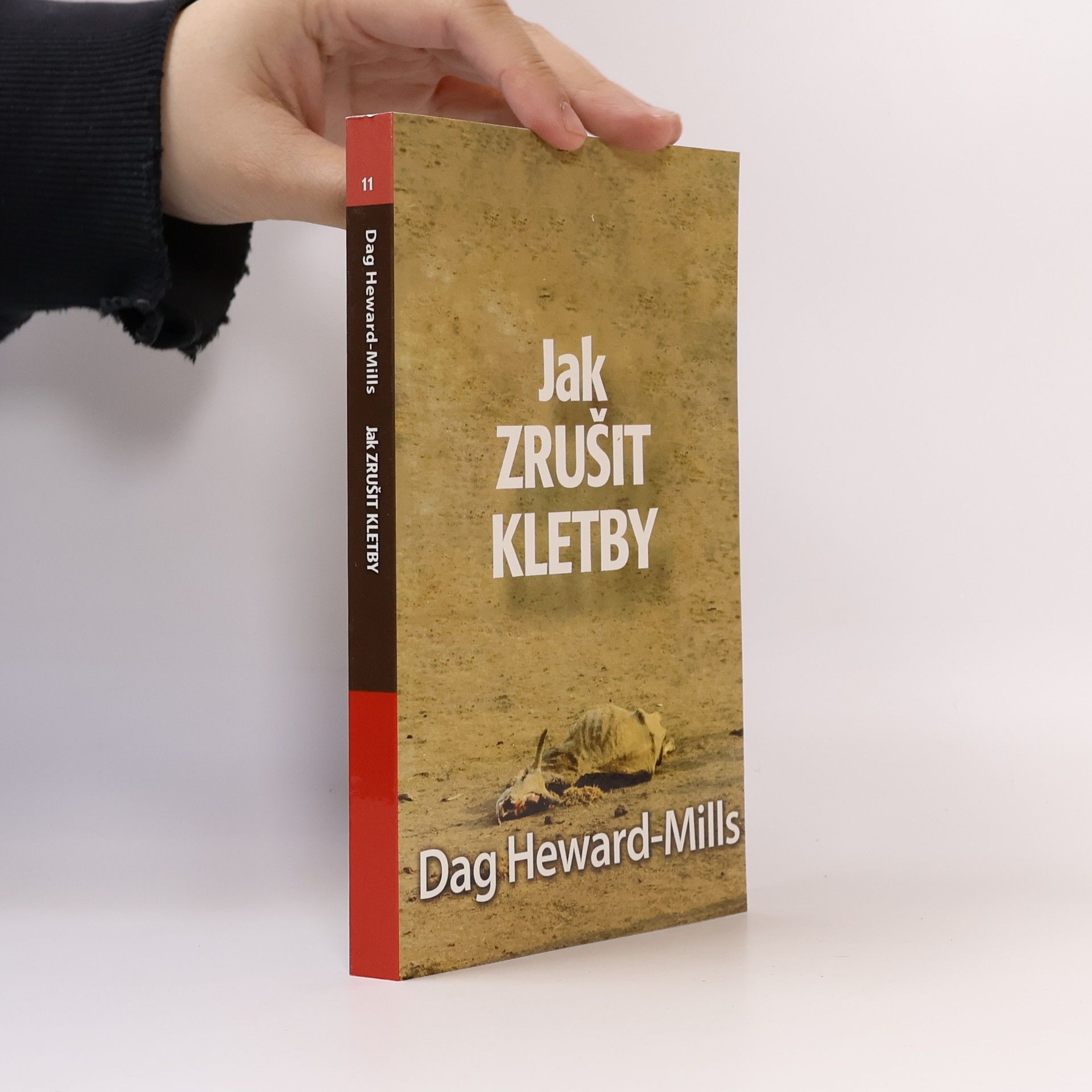 Dag Heward-Mills Jak zrušit kletby