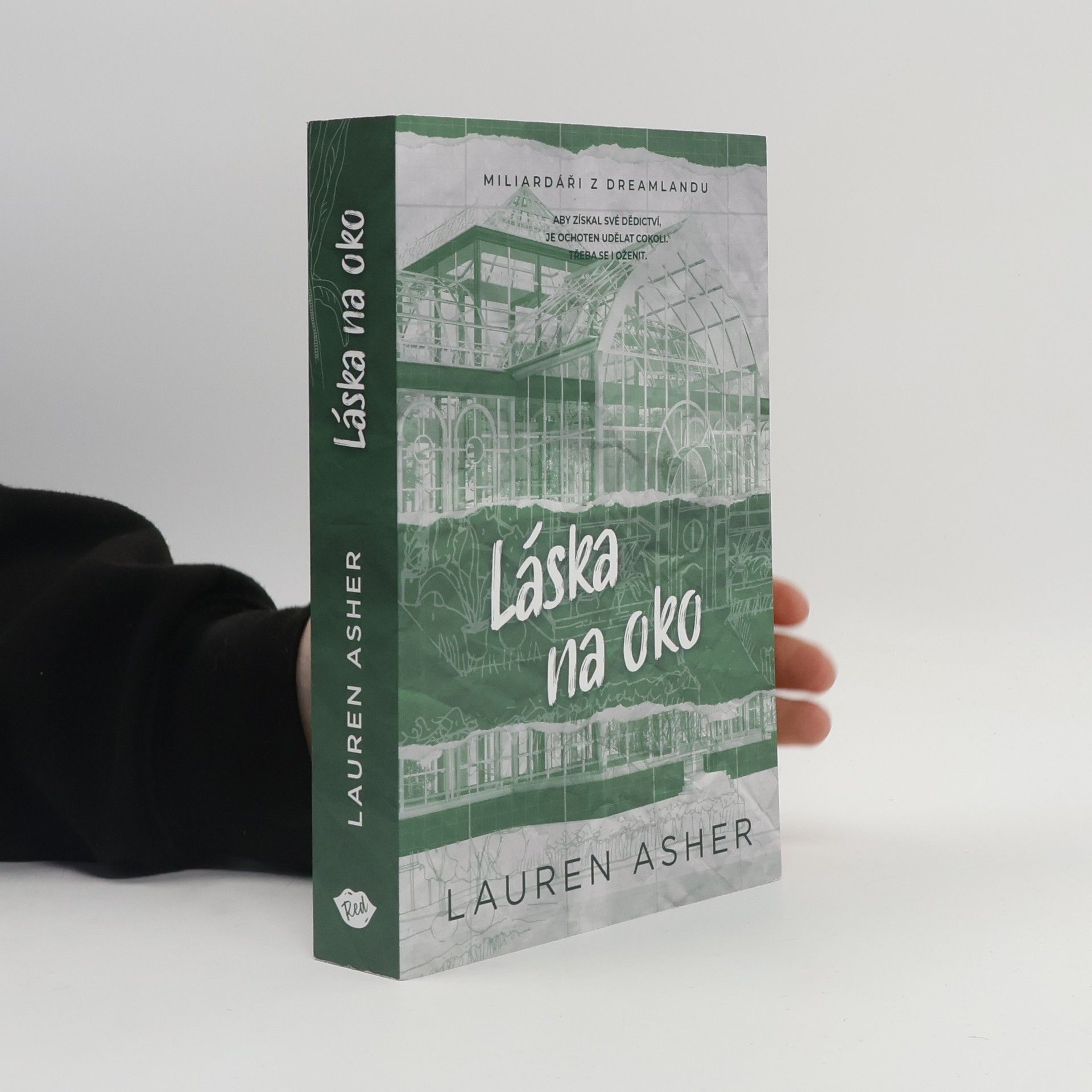 Lauren Asher Láska na oko