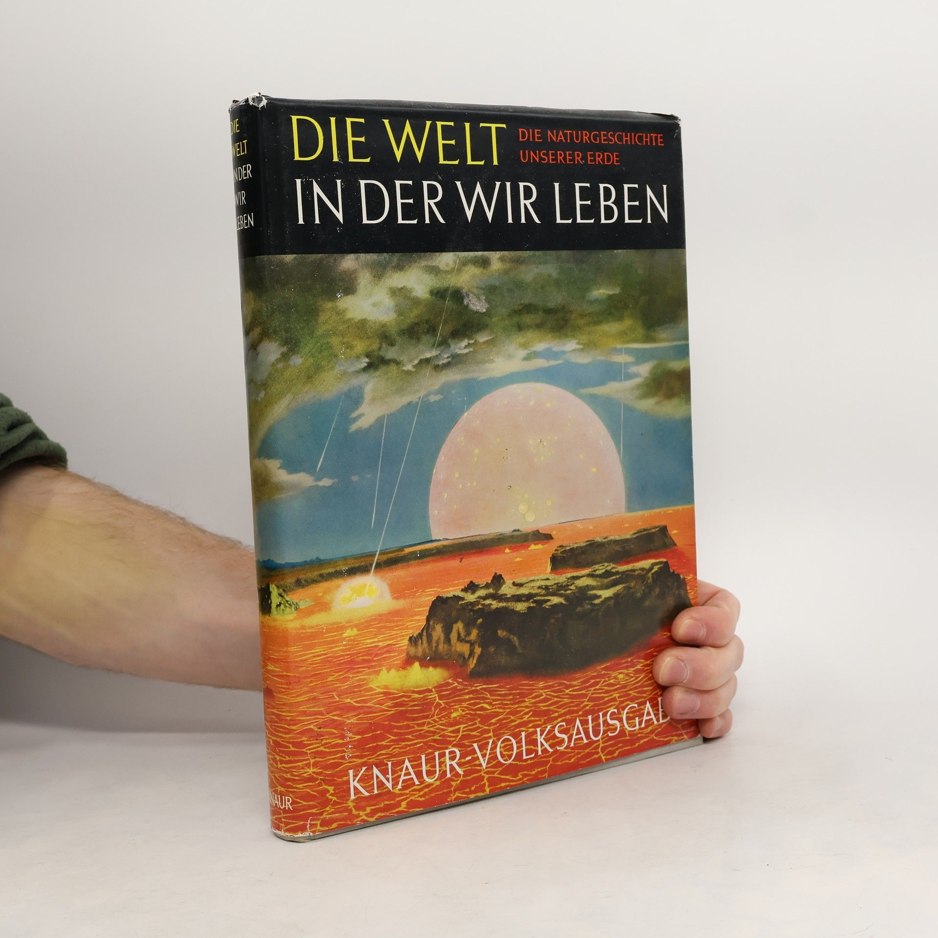 Autorenkollektiv Die Welt, in der wir Leben