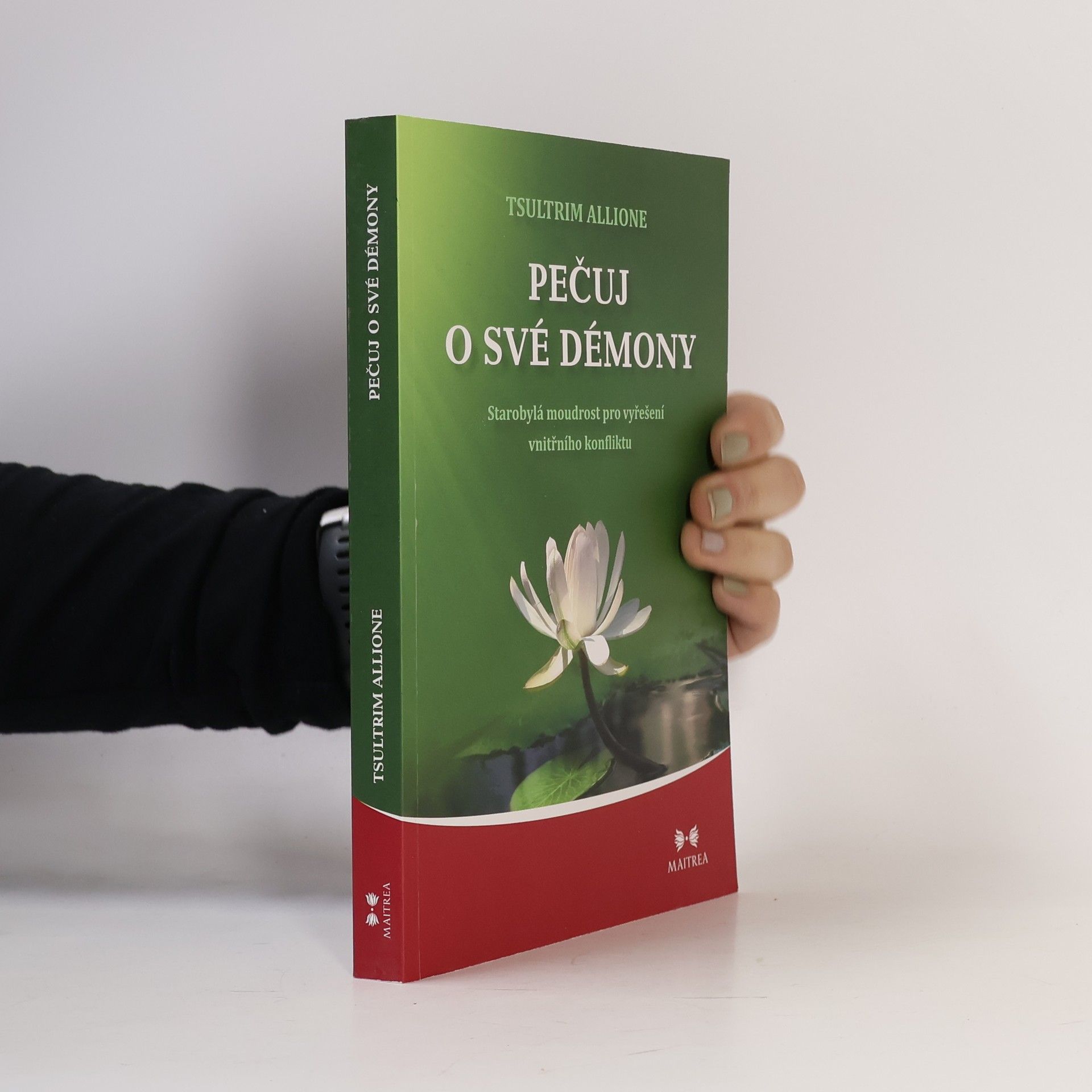 Tsultrim Allione Pečuj o své démony. Starobylá moudrost pro vyřešení vnitřního konfliktu