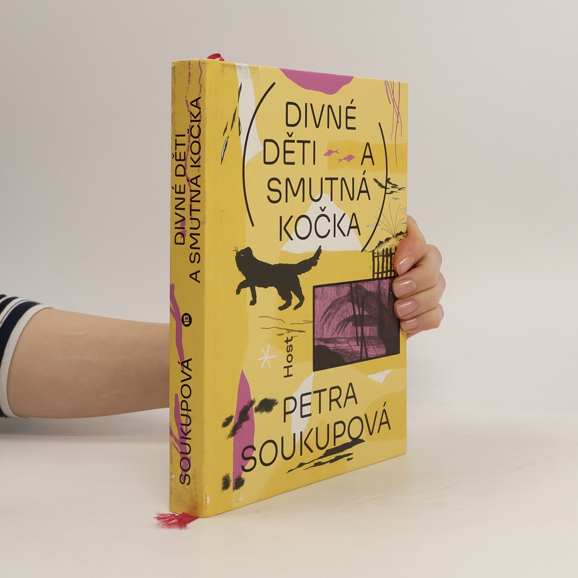 Petra Soukupová Divné děti a smutná kočka