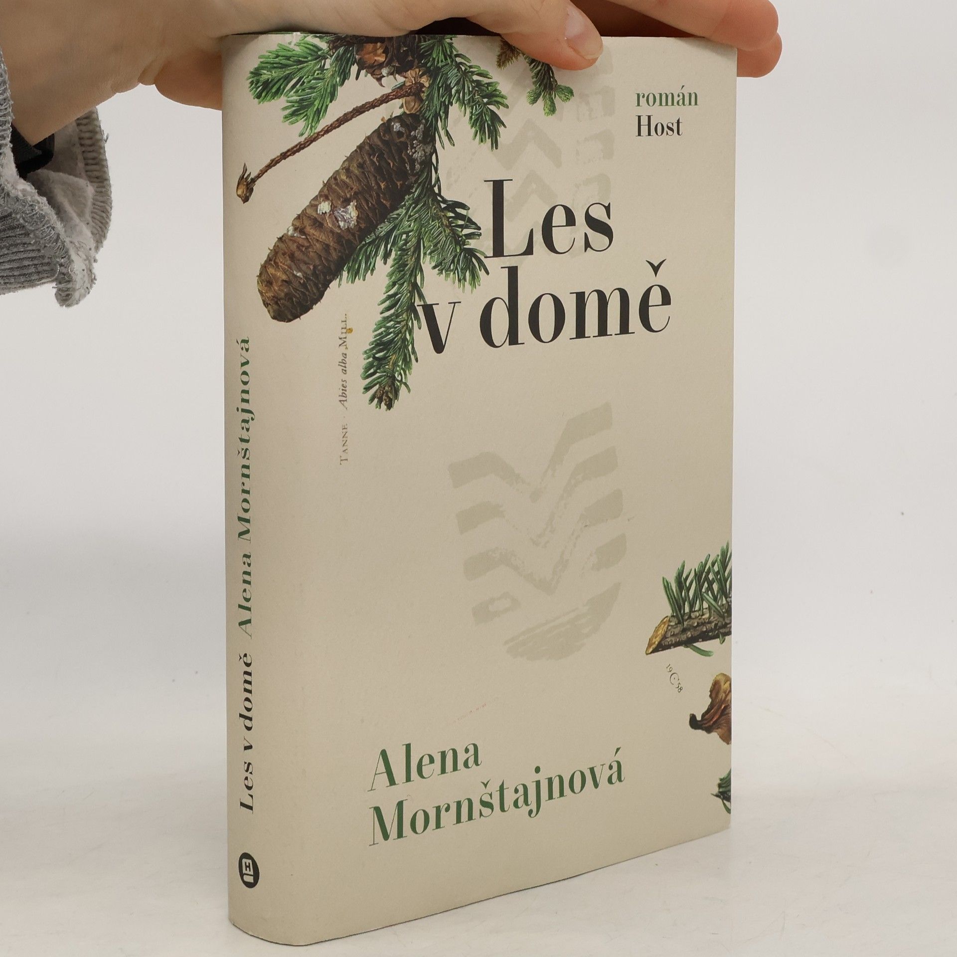 Alena Mornštajnová Les v domě