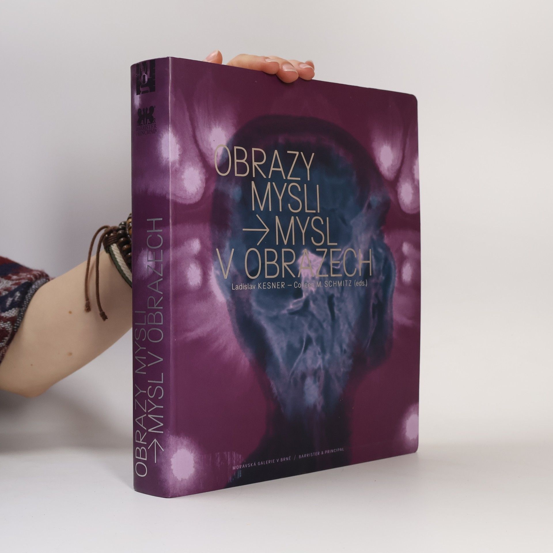 Elisabeth Ahner Obrazy mysli - Mysl v obrazech