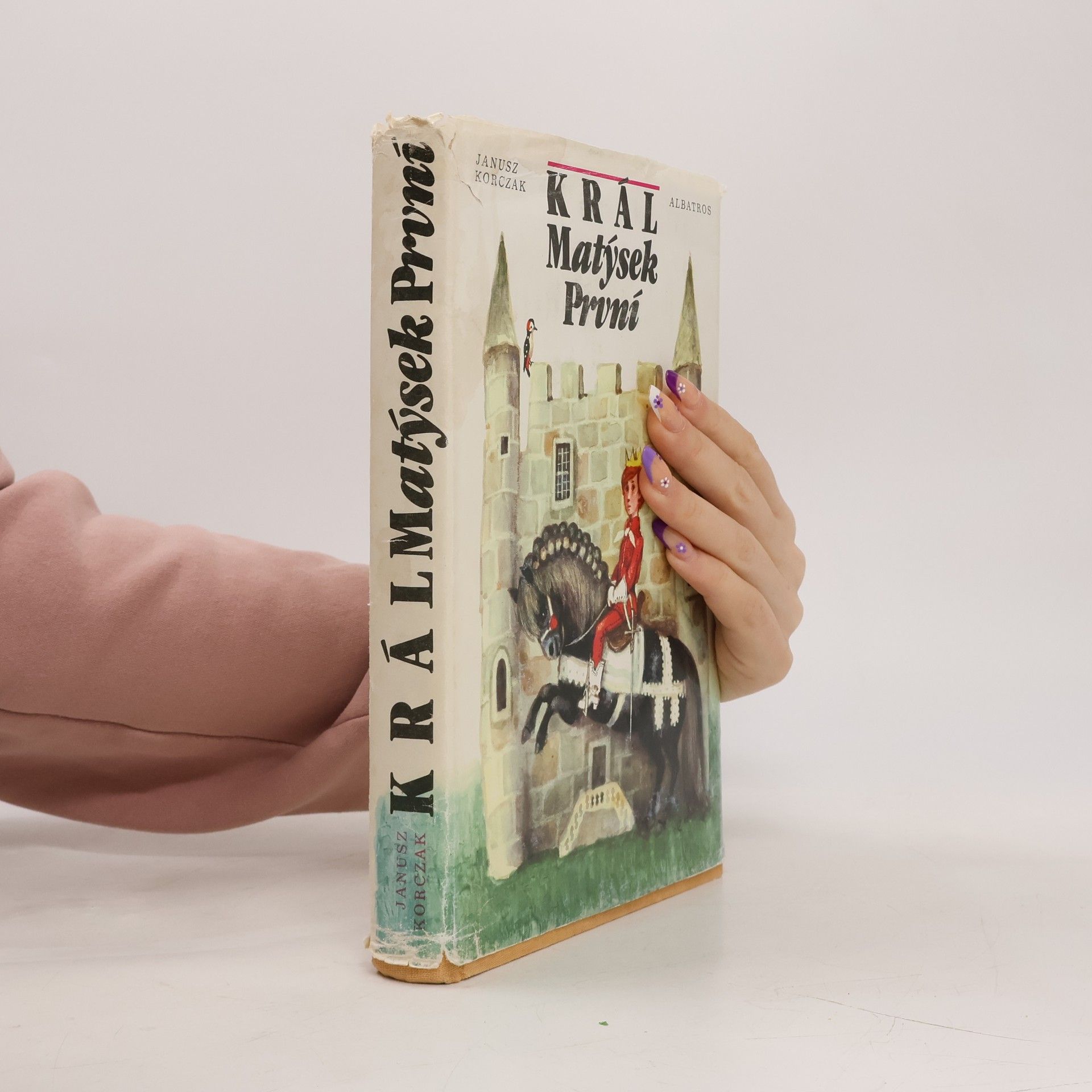 Kolektiv autorů Král Matýsek První