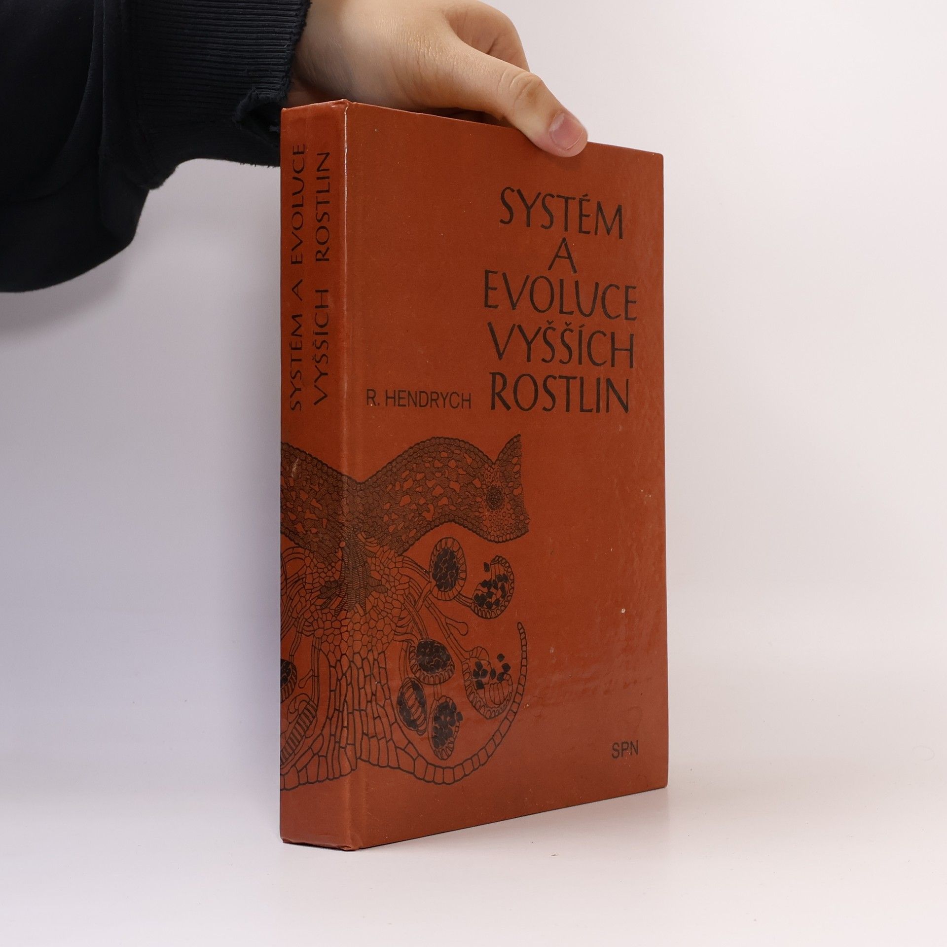 Radovan Hendrych Systém a evoluce vyšších rostlin