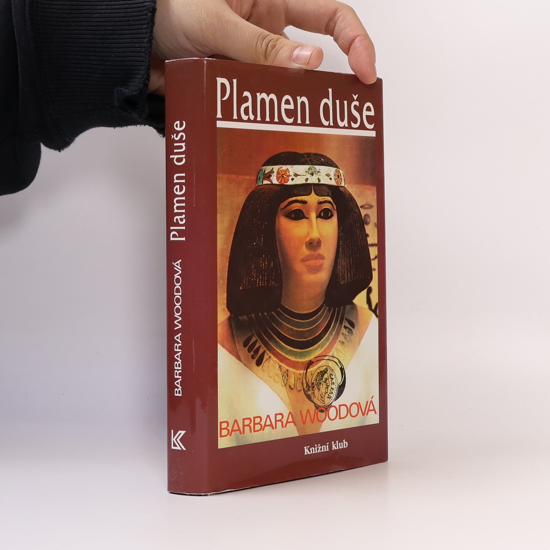 Barbara Wood Plamen duše