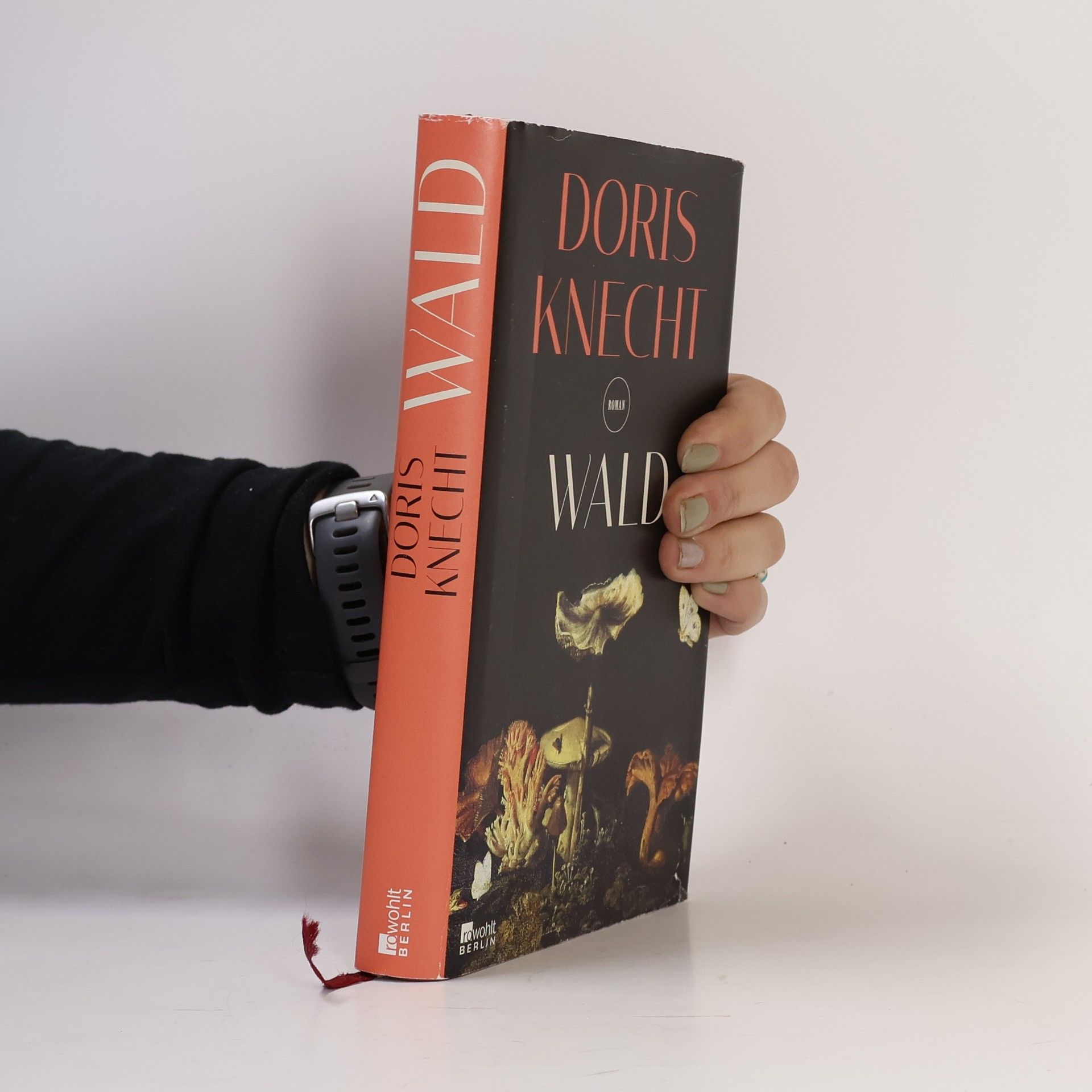 Doris Knecht Wald