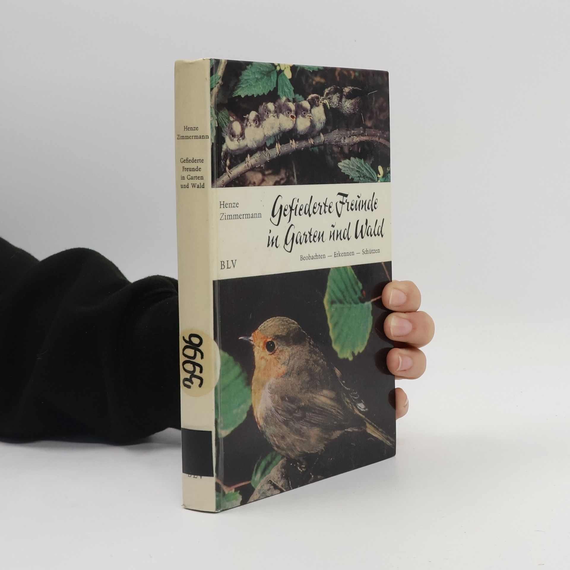 Gefiederte Freunde in Garten und Wald