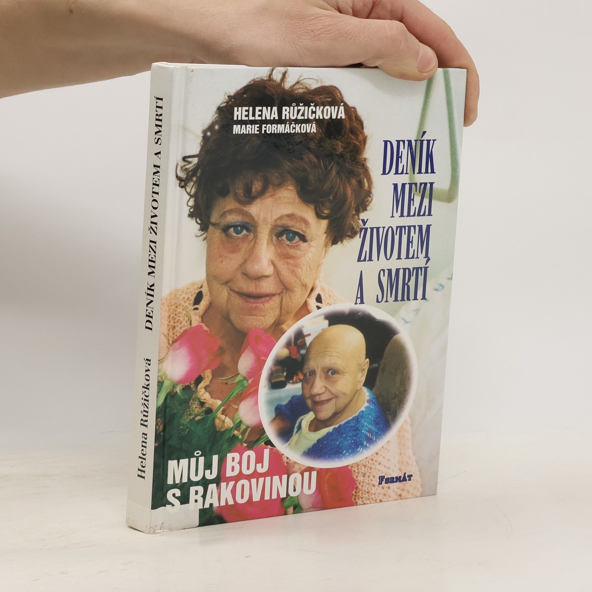 Helena Růžičková Deník mezi životem a smrtí